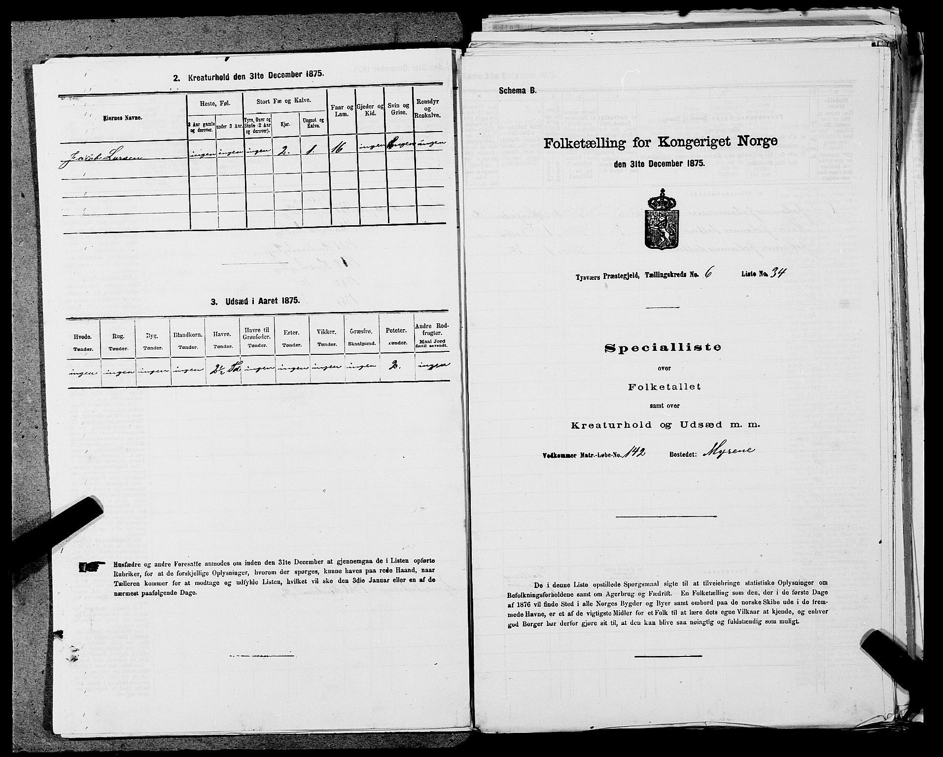 SAST, 1875 census for 1146P Tysvær, 1875, p. 718