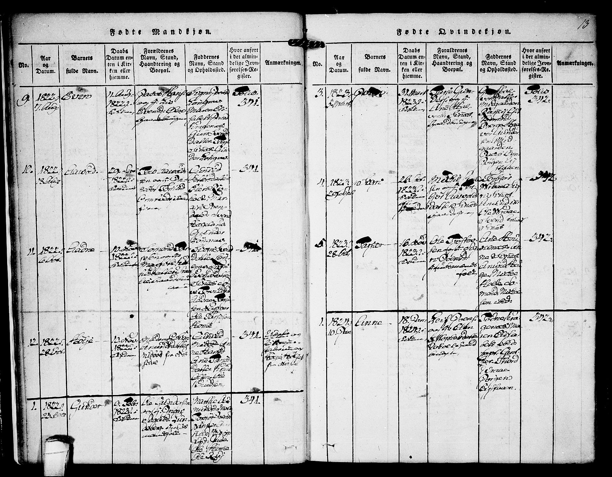 Kviteseid kirkebøker, AV/SAKO-A-276/F/Fc/L0001: Parish register (official) no. III 1, 1815-1836, p. 13