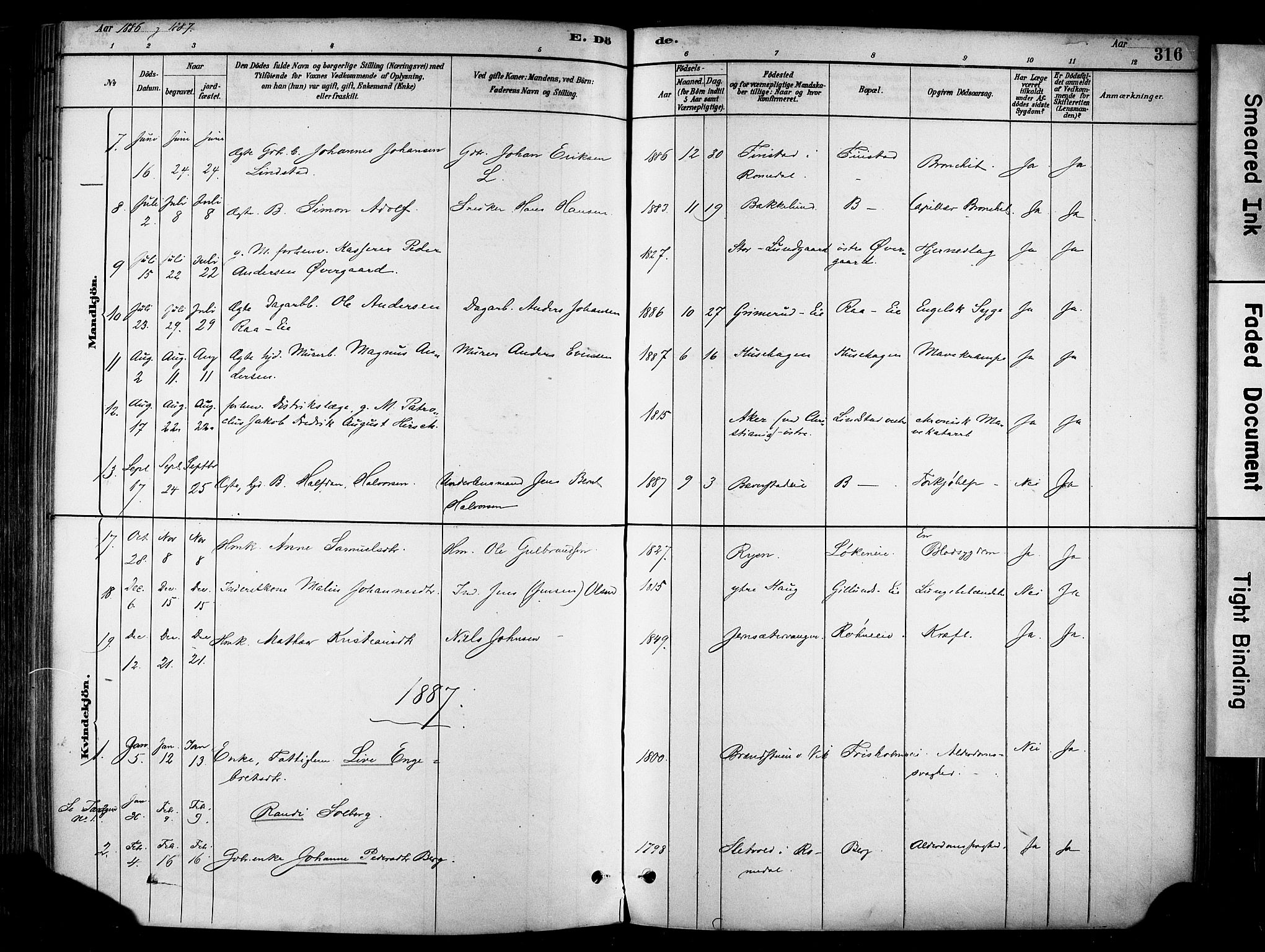 Stange prestekontor, AV/SAH-PREST-002/K/L0017: Parish register (official) no. 17, 1880-1893, p. 316