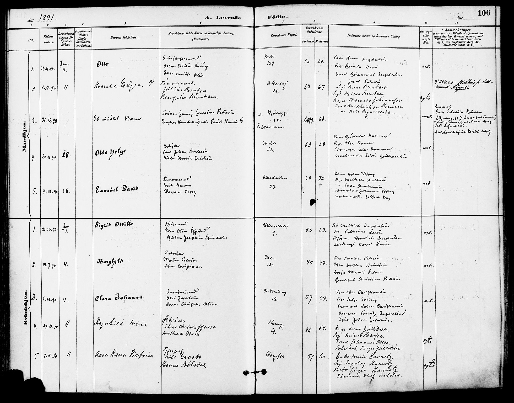 Gamle Aker prestekontor Kirkebøker, AV/SAO-A-10617a/F/L0008: Parish register (official) no. 8, 1887-1896, p. 106