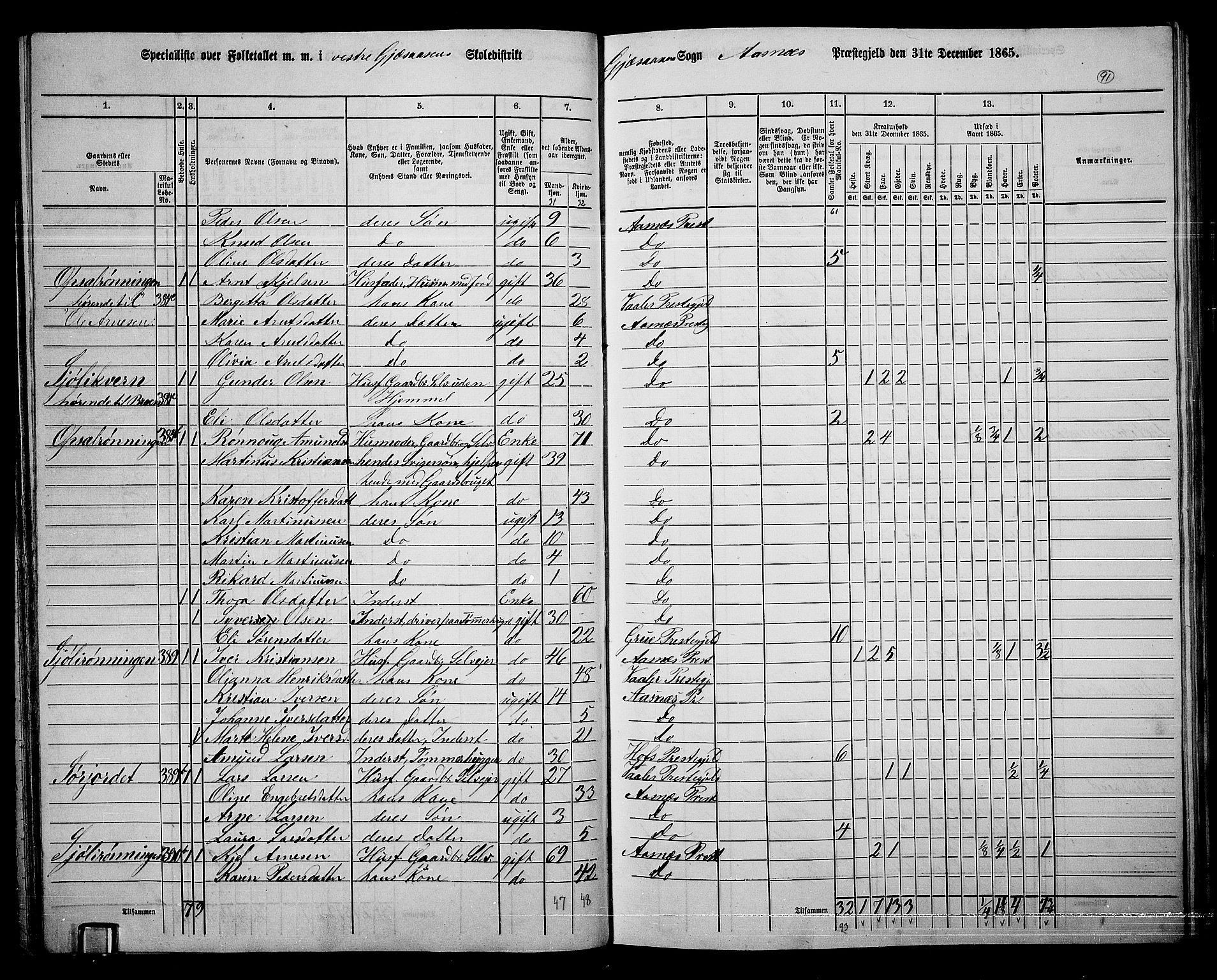 RA, 1865 census for Åsnes, 1865, p. 85