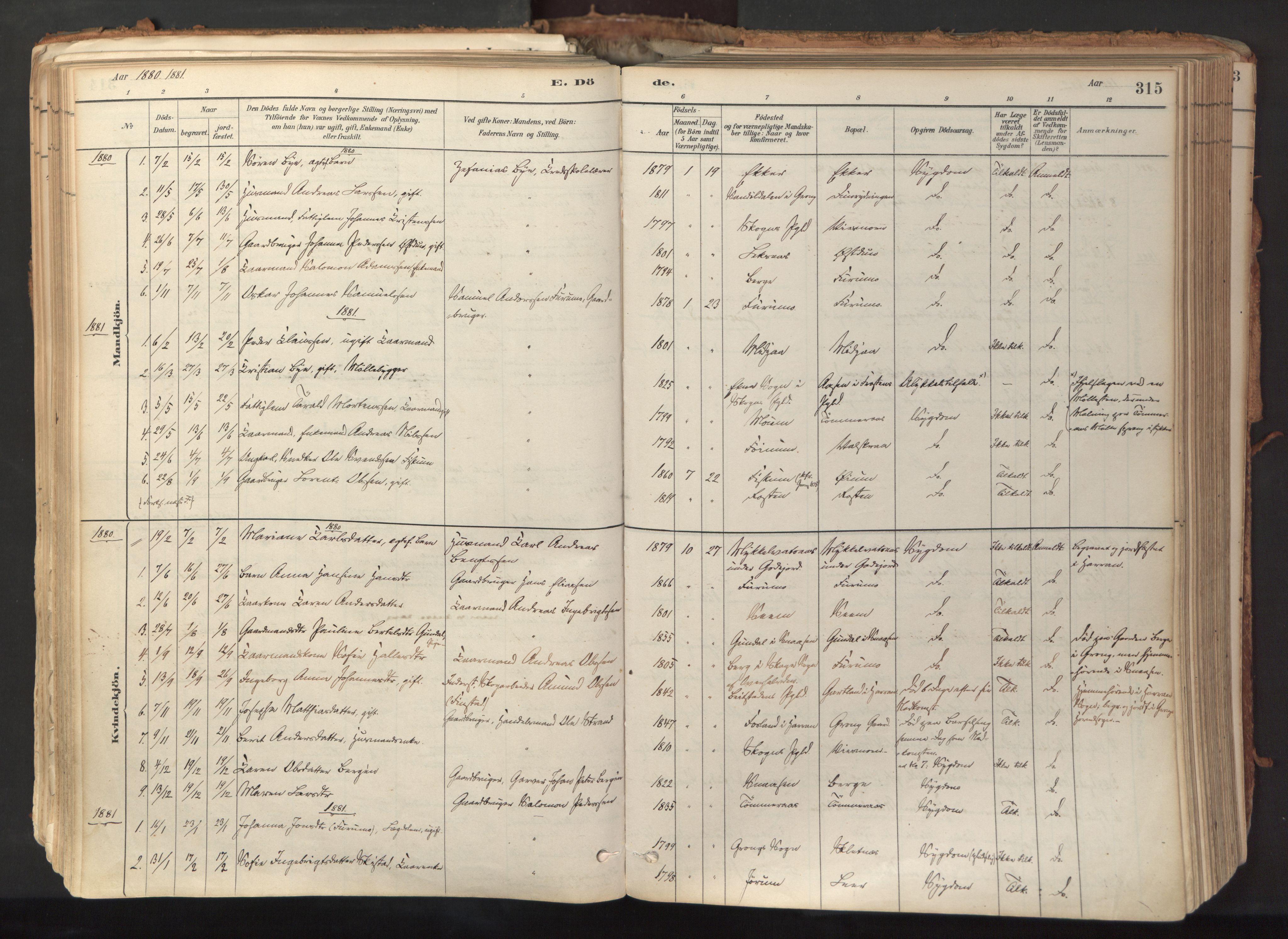 Ministerialprotokoller, klokkerbøker og fødselsregistre - Nord-Trøndelag, SAT/A-1458/758/L0519: Parish register (official) no. 758A04, 1880-1926, p. 315