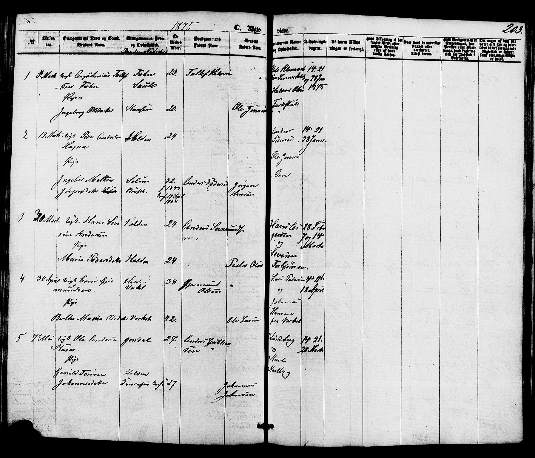 Holla kirkebøker, SAKO/A-272/F/Fa/L0007: Parish register (official) no. 7, 1869-1881, p. 203