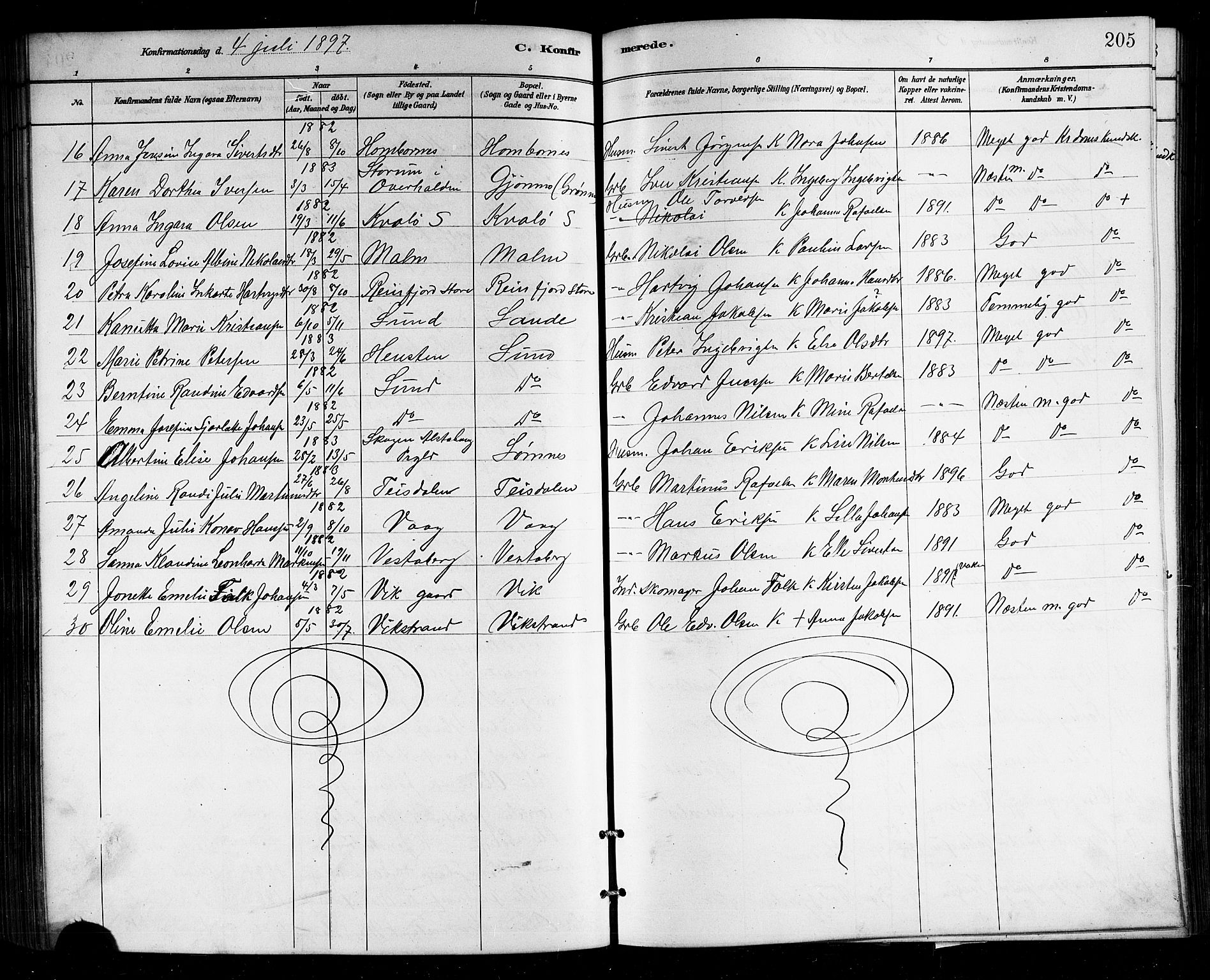 Ministerialprotokoller, klokkerbøker og fødselsregistre - Nordland, SAT/A-1459/812/L0188: Parish register (copy) no. 812C06, 1884-1912, p. 205
