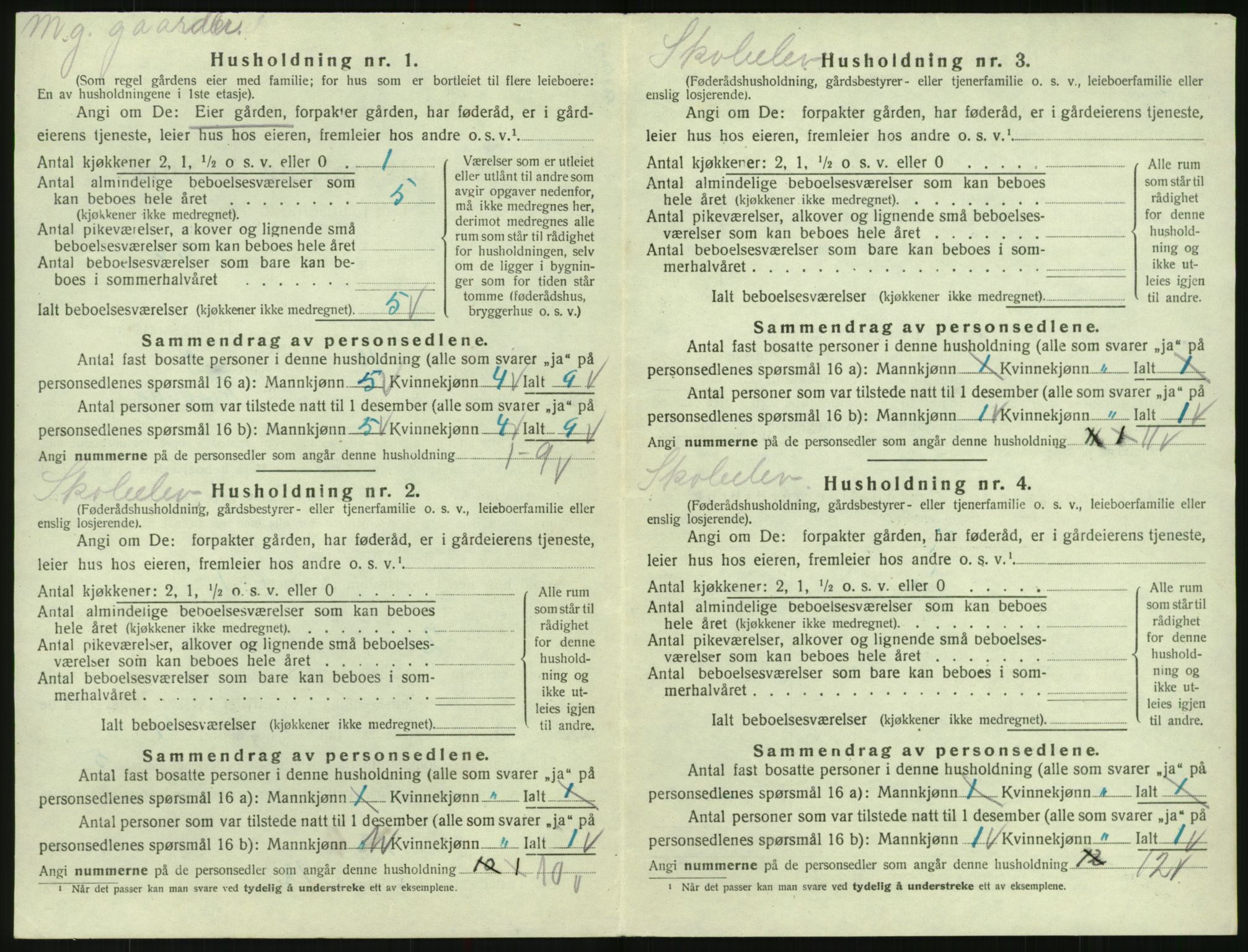 SAK, 1920 census for Evje, 1920, p. 157