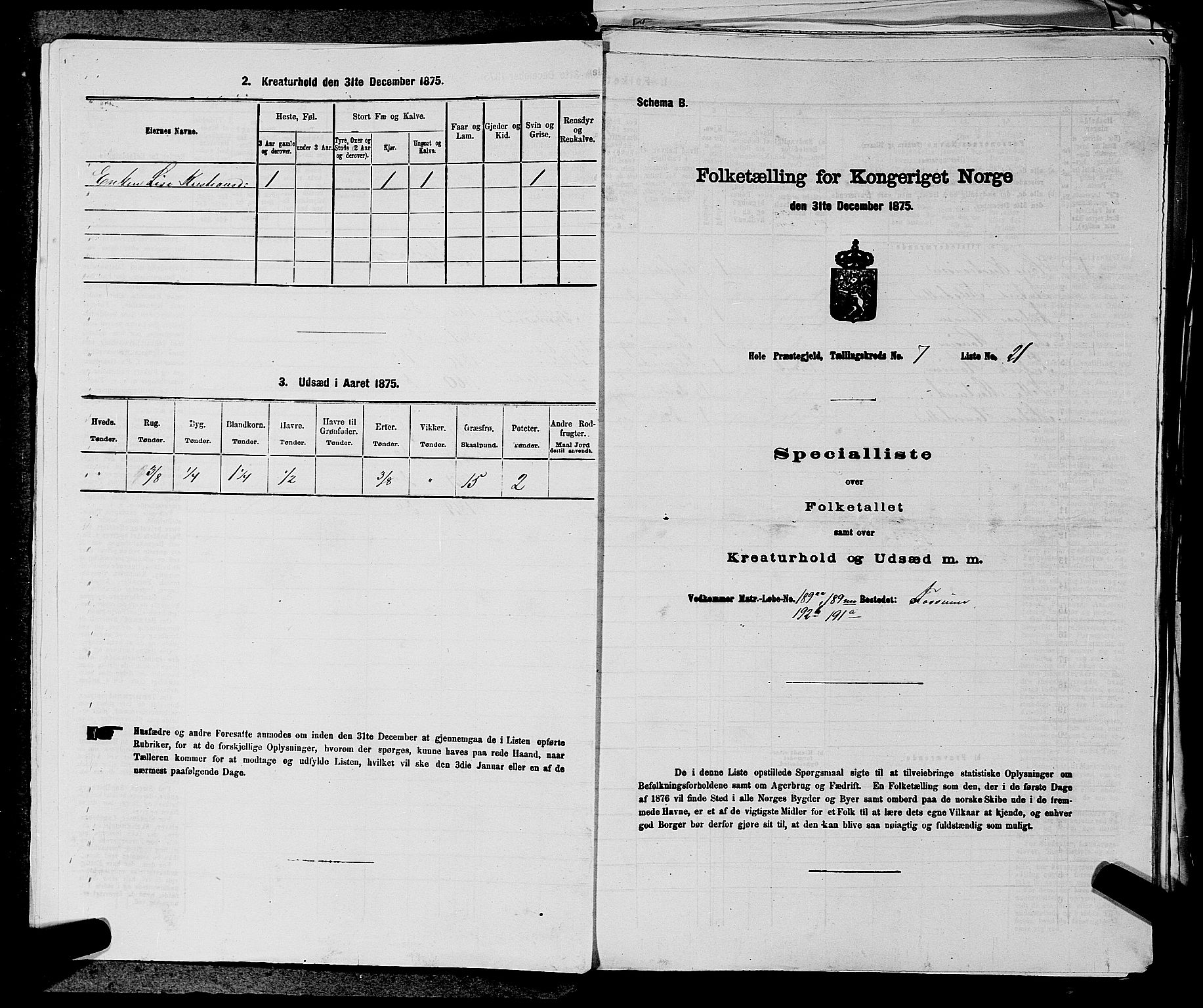 SAKO, 1875 census for 0612P Hole, 1875, p. 1162