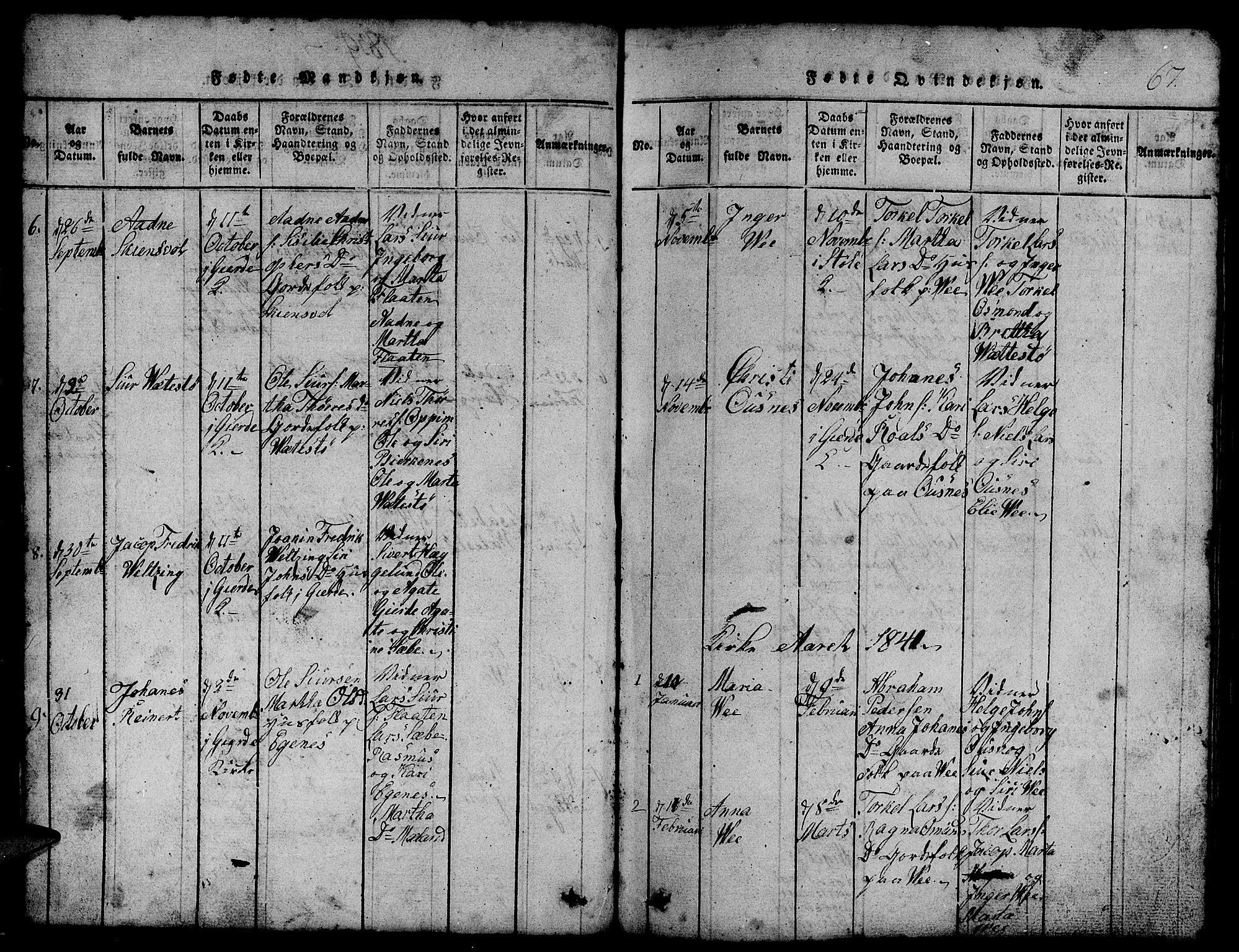 Etne sokneprestembete, SAB/A-75001/H/Hab: Parish register (copy) no. B 1, 1815-1850, p. 67