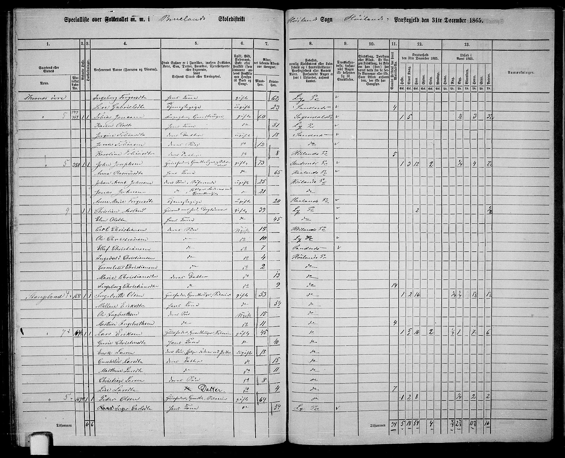 RA, 1865 census for Høyland, 1865, p. 137