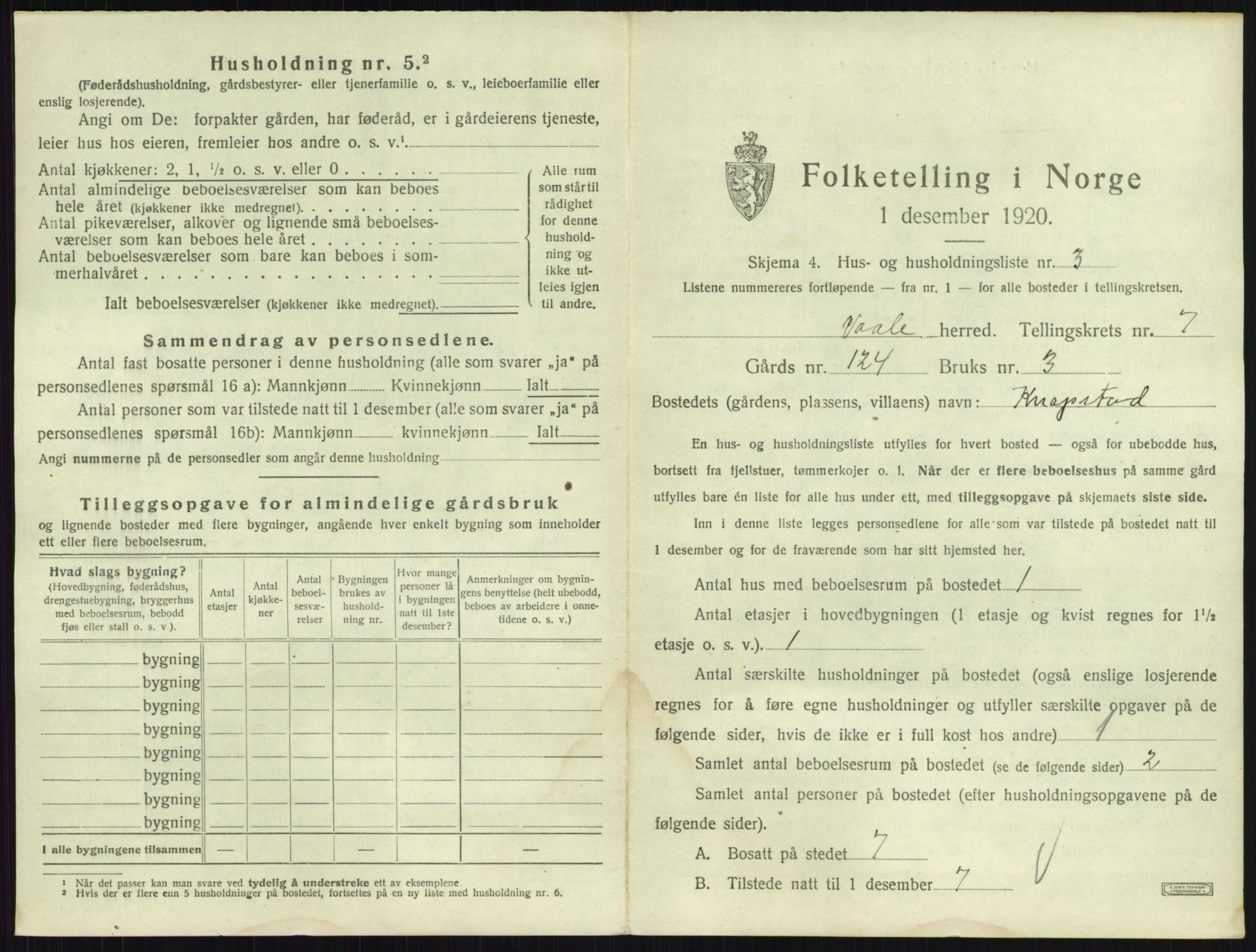 SAKO, 1920 census for Våle, 1920, p. 861