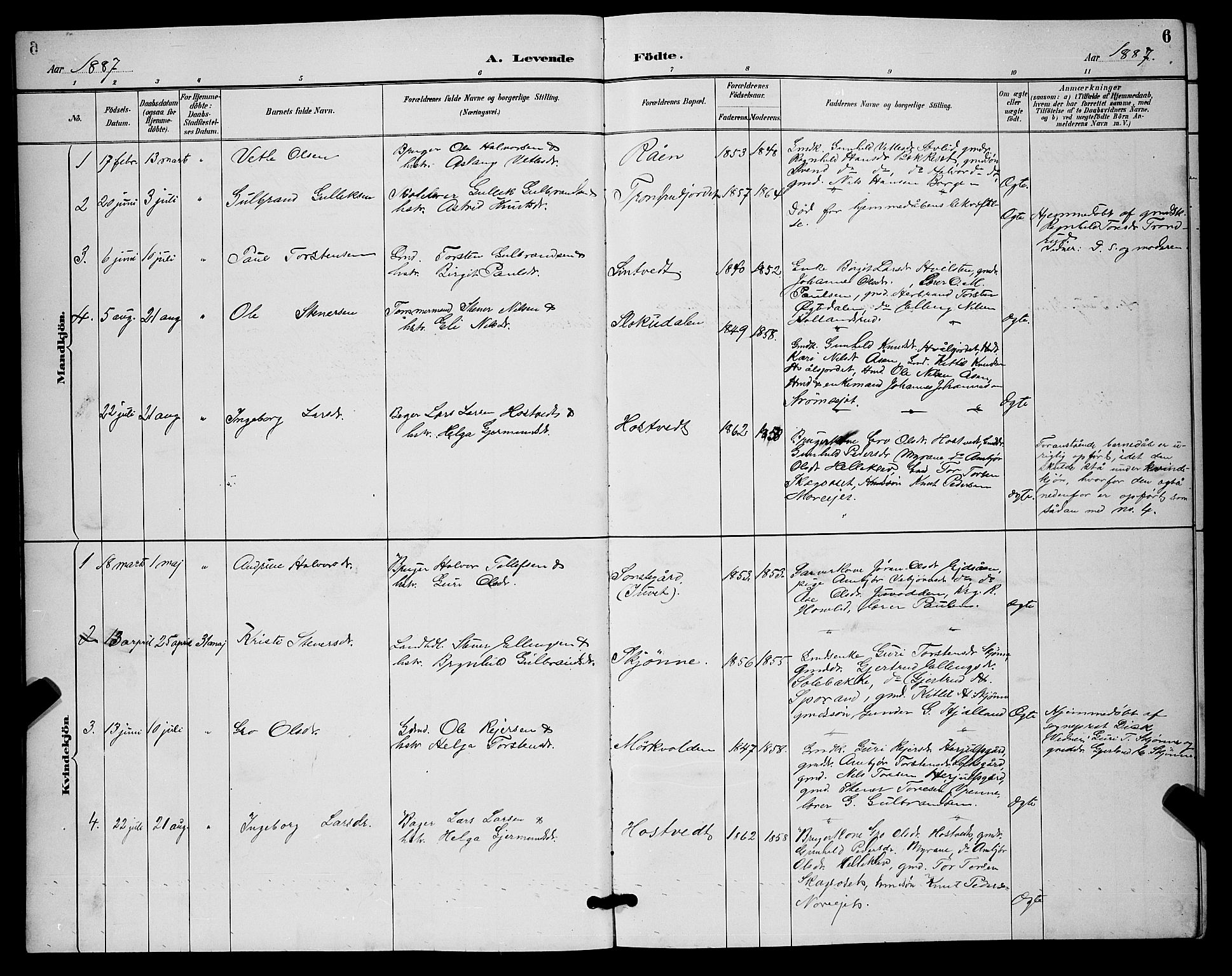 Nore kirkebøker, SAKO/A-238/G/Ga/L0003: Parish register (copy) no. I 3, 1886-1903, p. 6