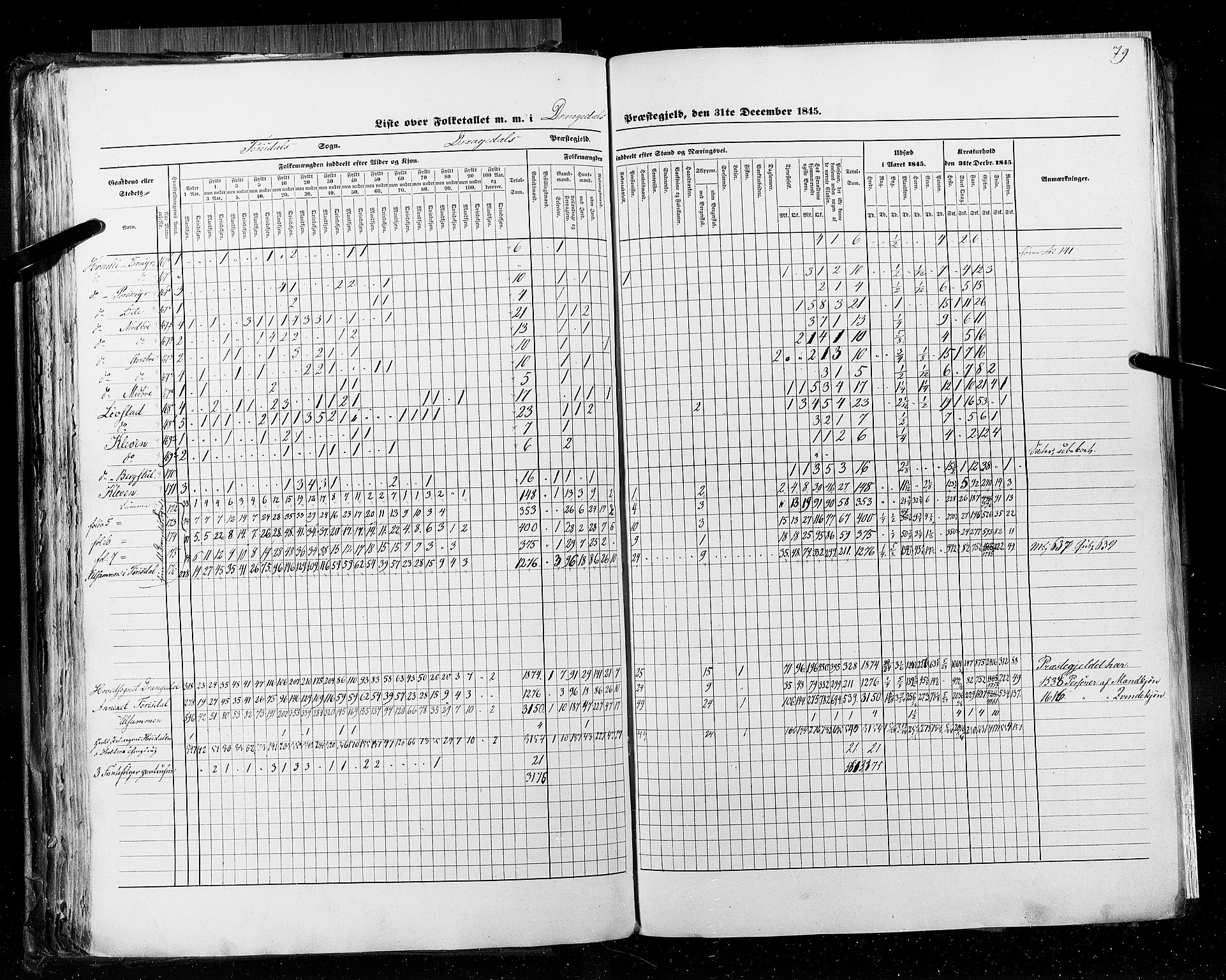 RA, Census 1845, vol. 5: Bratsberg amt og Nedenes og Råbyggelaget amt, 1845, p. 79