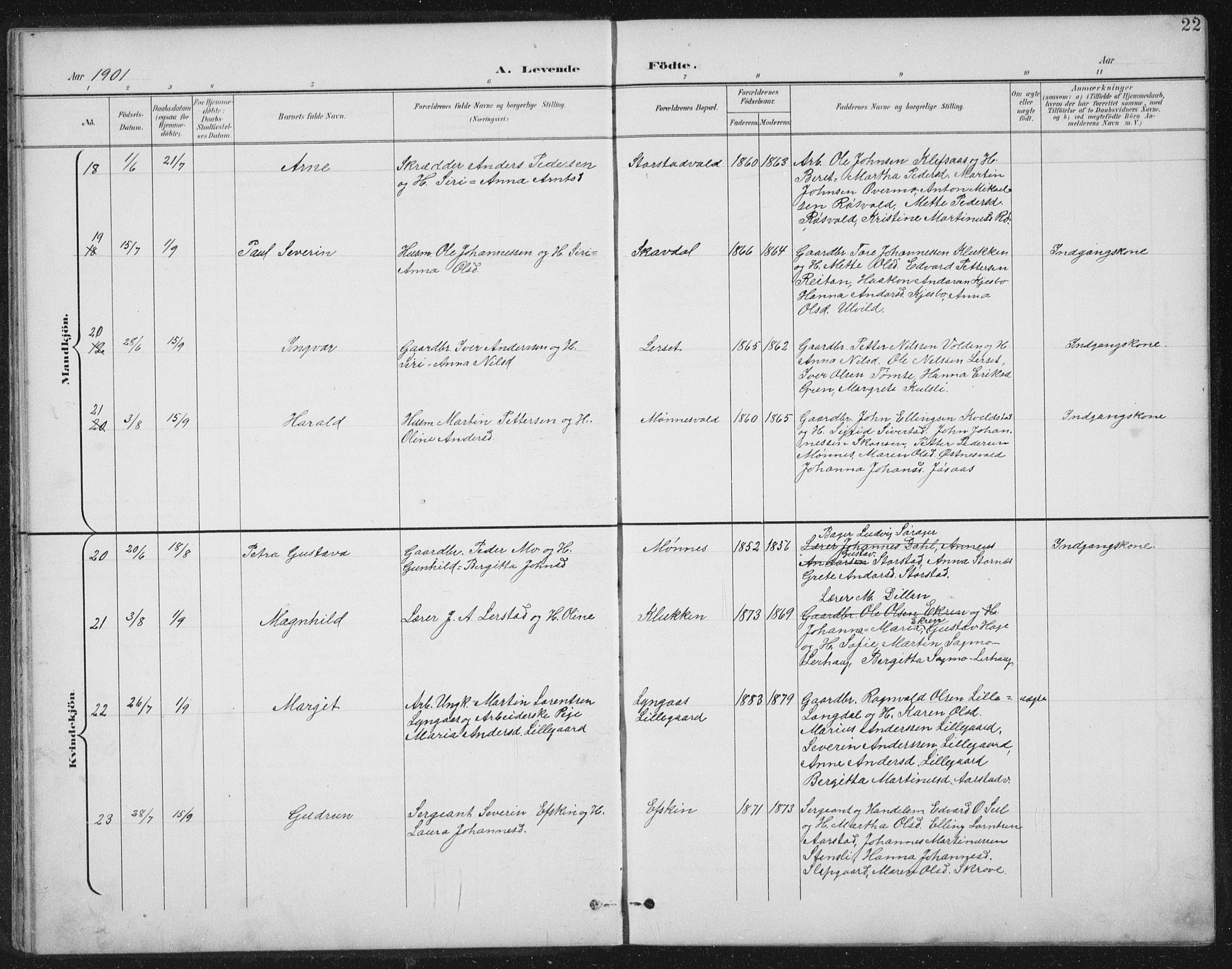 Ministerialprotokoller, klokkerbøker og fødselsregistre - Nord-Trøndelag, AV/SAT-A-1458/724/L0269: Parish register (copy) no. 724C05, 1899-1920, p. 22