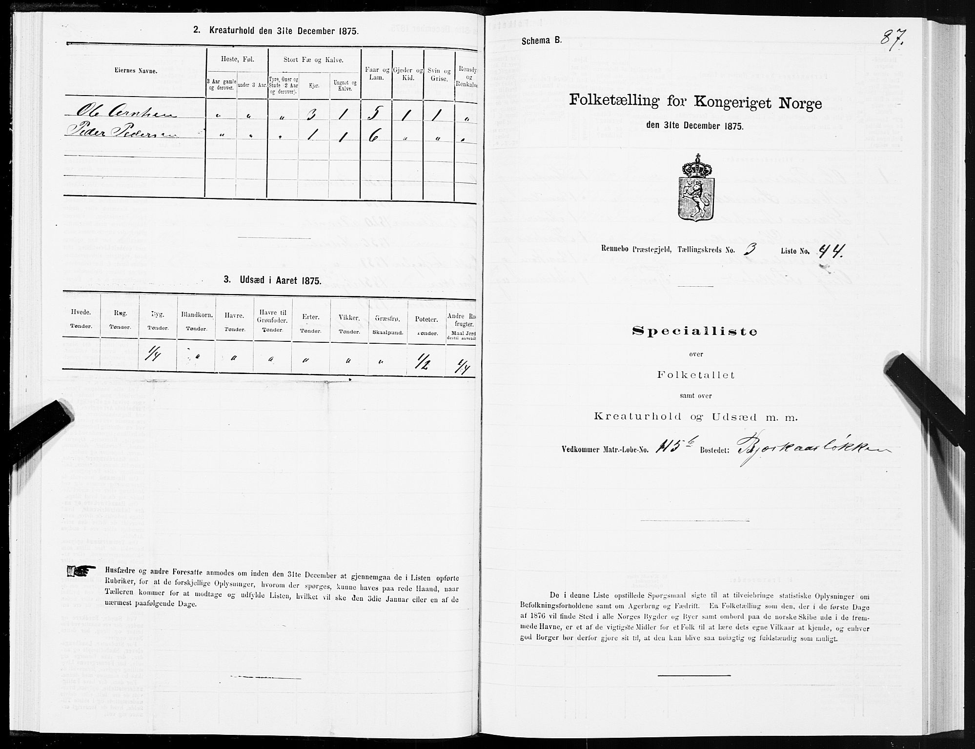 SAT, 1875 census for 1635P Rennebu, 1875, p. 2087