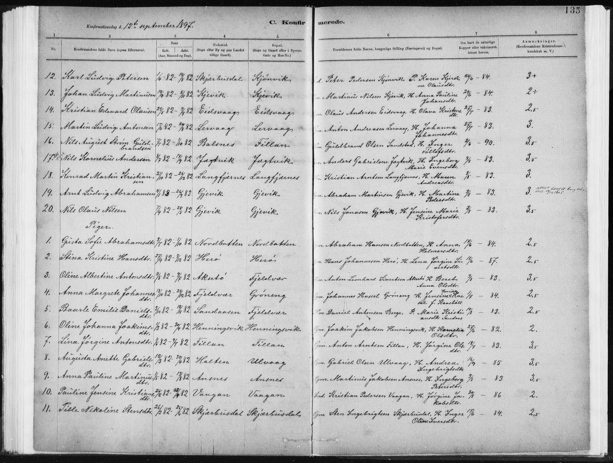 Ministerialprotokoller, klokkerbøker og fødselsregistre - Sør-Trøndelag, SAT/A-1456/637/L0558: Parish register (official) no. 637A01, 1882-1899, p. 135