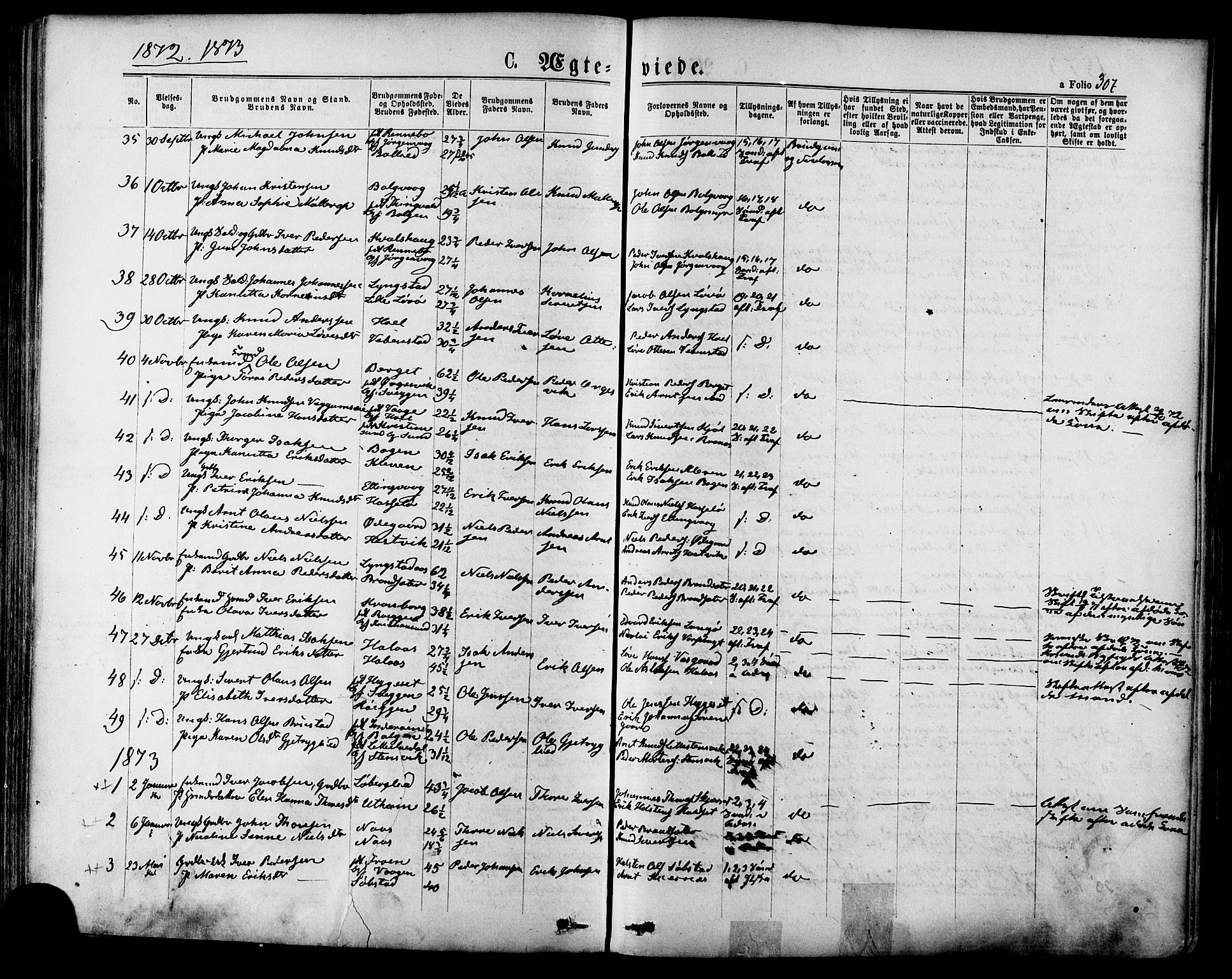 Ministerialprotokoller, klokkerbøker og fødselsregistre - Møre og Romsdal, SAT/A-1454/568/L0805: Parish register (official) no. 568A12 /1, 1869-1884, p. 307