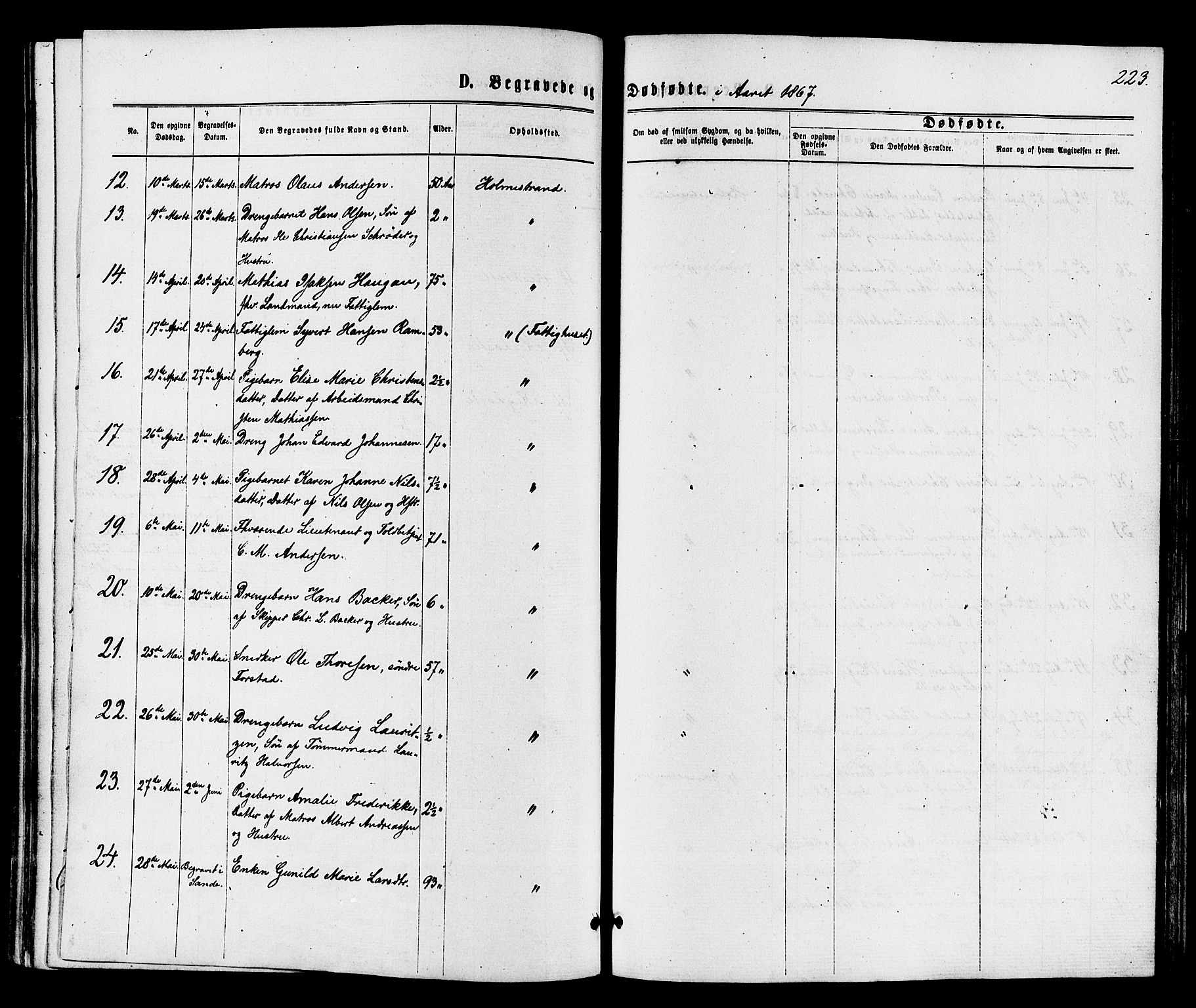 Holmestrand kirkebøker, AV/SAKO-A-346/F/Fa/L0003: Parish register (official) no. 3, 1867-1879, p. 223