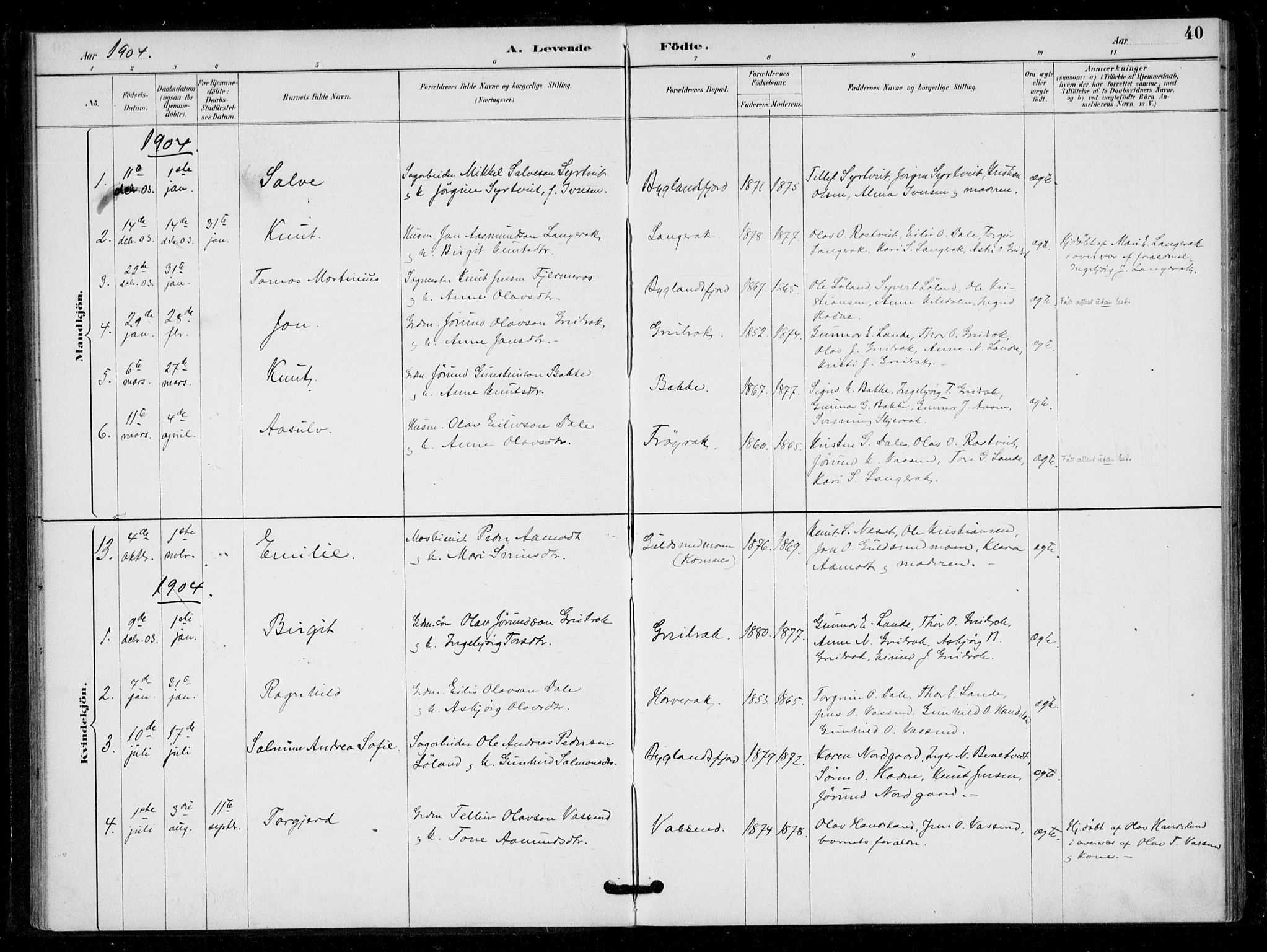 Bygland sokneprestkontor, SAK/1111-0006/F/Fa/Fad/L0001: Parish register (official) no. A 1, 1885-1906, p. 40