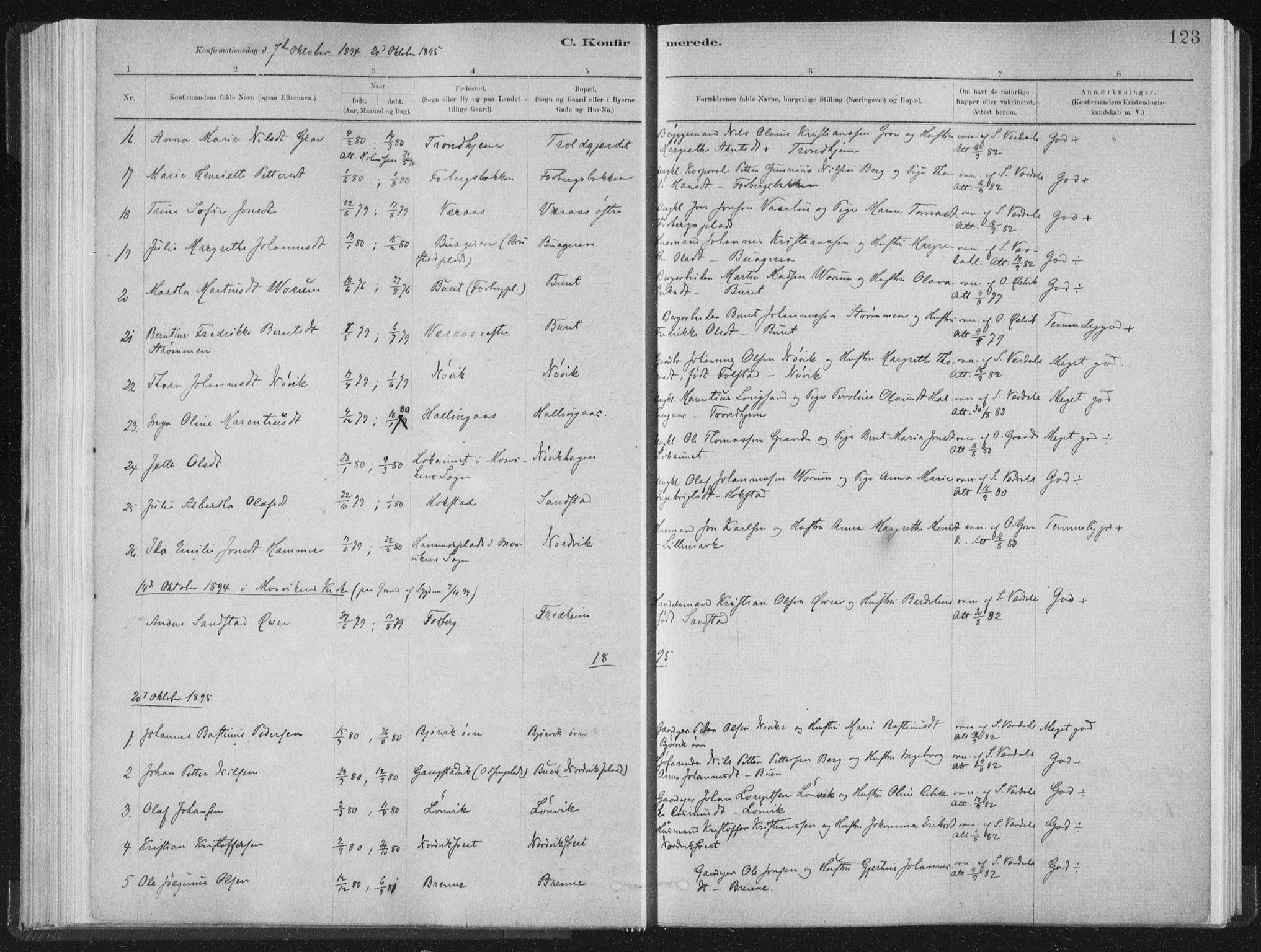 Ministerialprotokoller, klokkerbøker og fødselsregistre - Nord-Trøndelag, SAT/A-1458/722/L0220: Parish register (official) no. 722A07, 1881-1908, p. 123
