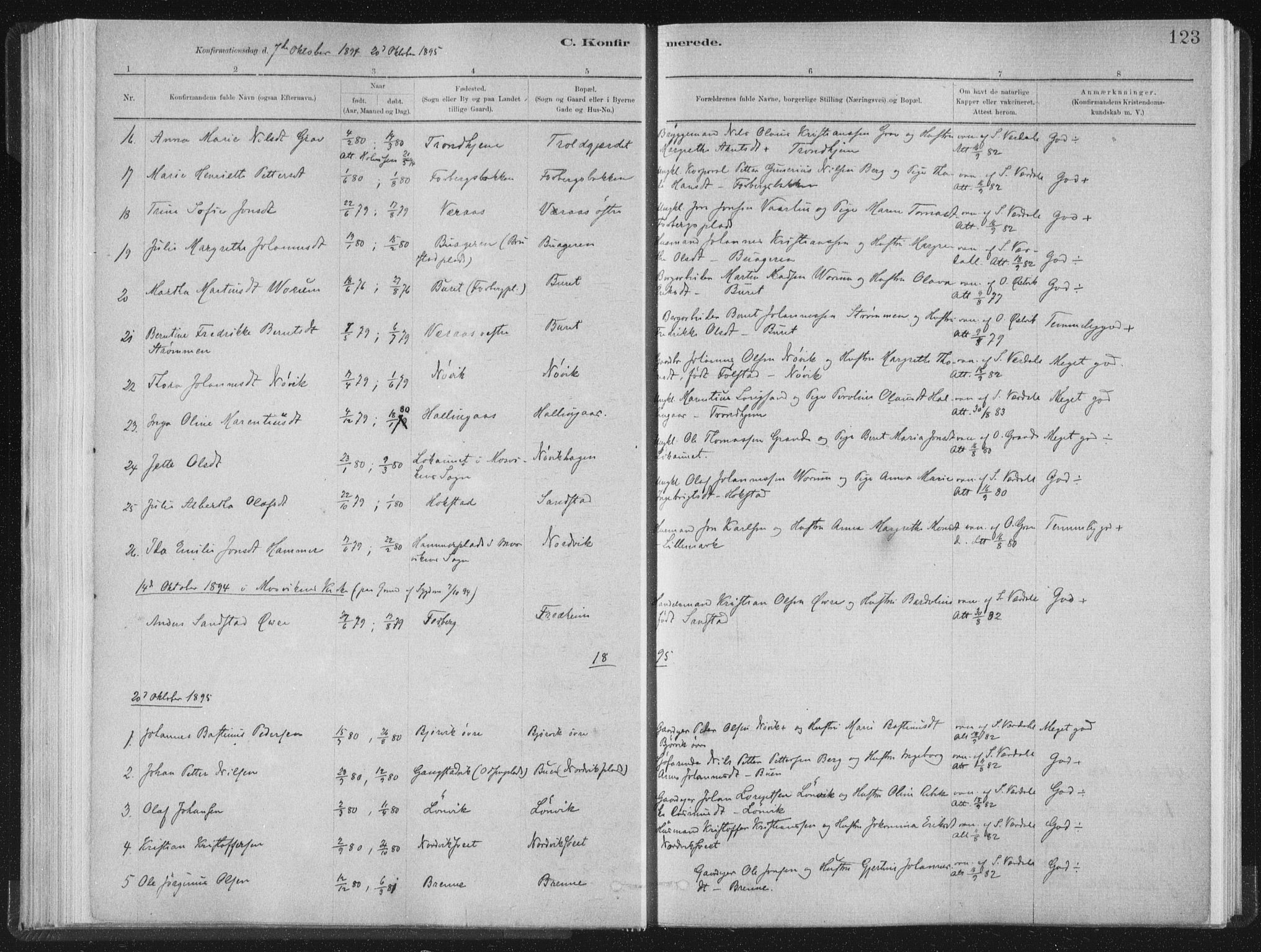 Ministerialprotokoller, klokkerbøker og fødselsregistre - Nord-Trøndelag, AV/SAT-A-1458/722/L0220: Parish register (official) no. 722A07, 1881-1908, p. 123