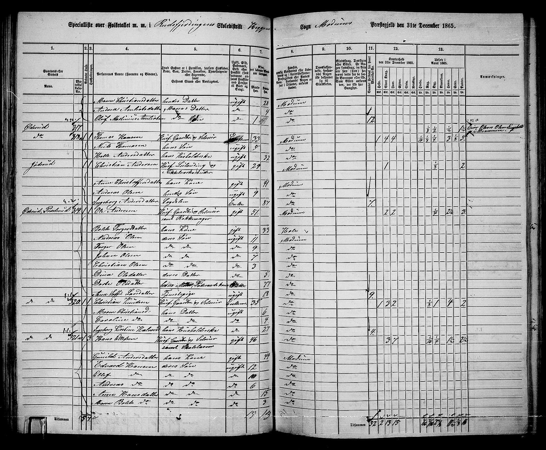 RA, 1865 census for Modum, 1865, p. 116