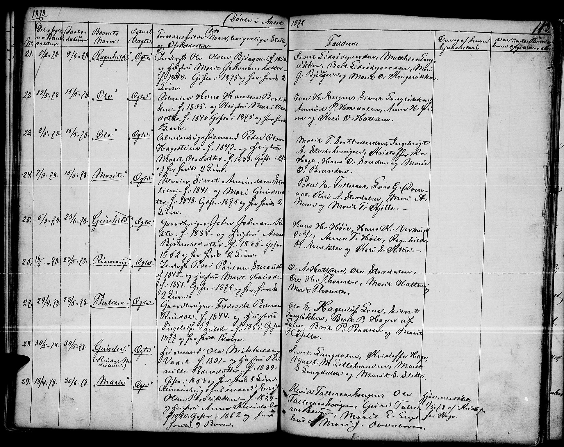 Dovre prestekontor, SAH/PREST-066/H/Ha/Hab/L0001: Parish register (copy) no. 1, 1862-1880, p. 113
