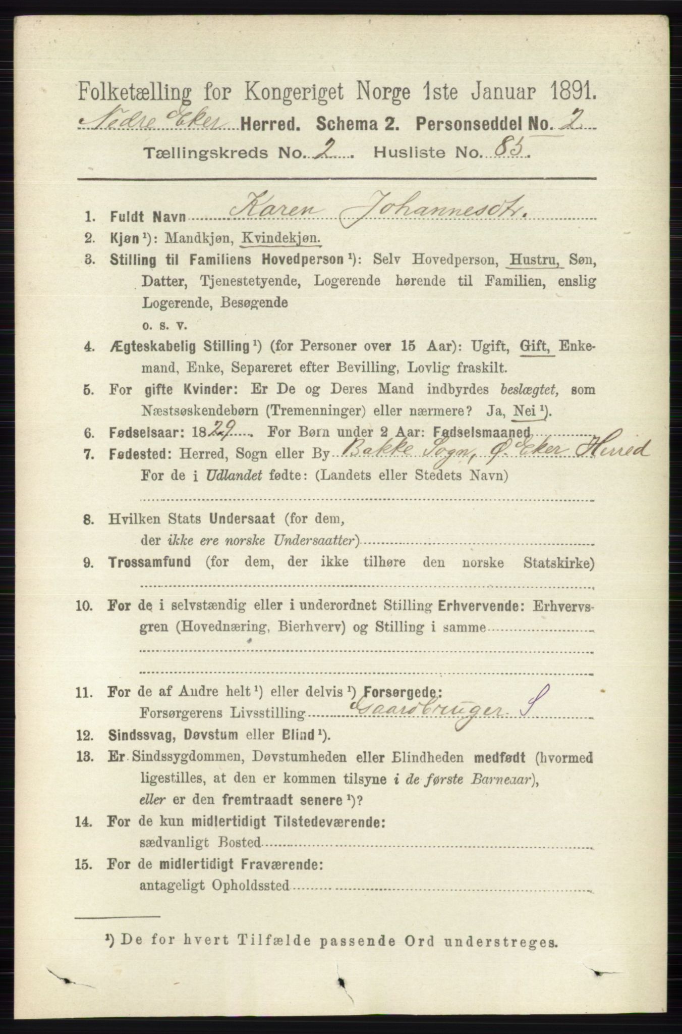 RA, 1891 census for 0625 Nedre Eiker, 1891, p. 1008