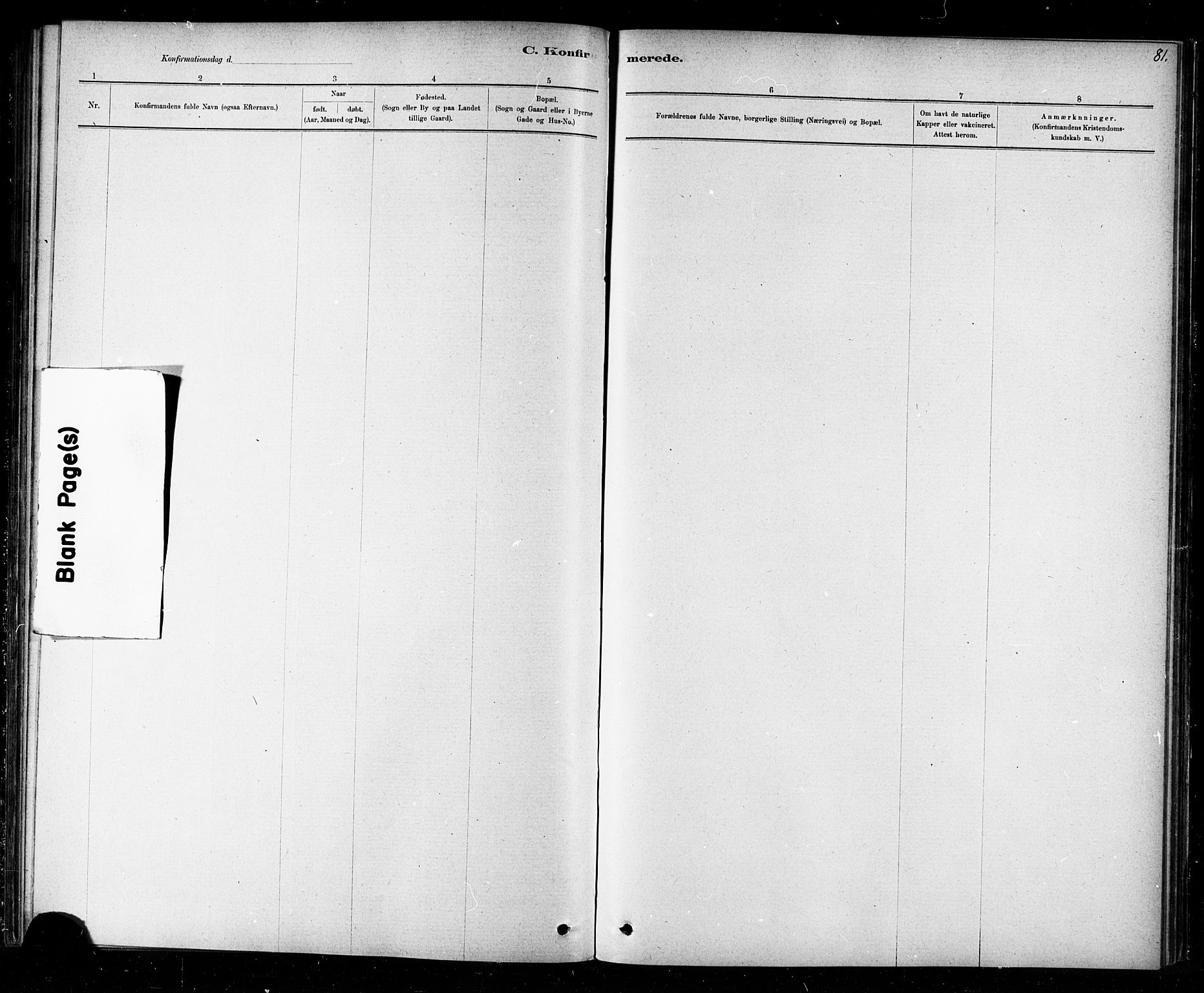 Ministerialprotokoller, klokkerbøker og fødselsregistre - Nord-Trøndelag, AV/SAT-A-1458/720/L0192: Parish register (copy) no. 720C01, 1880-1917, p. 81