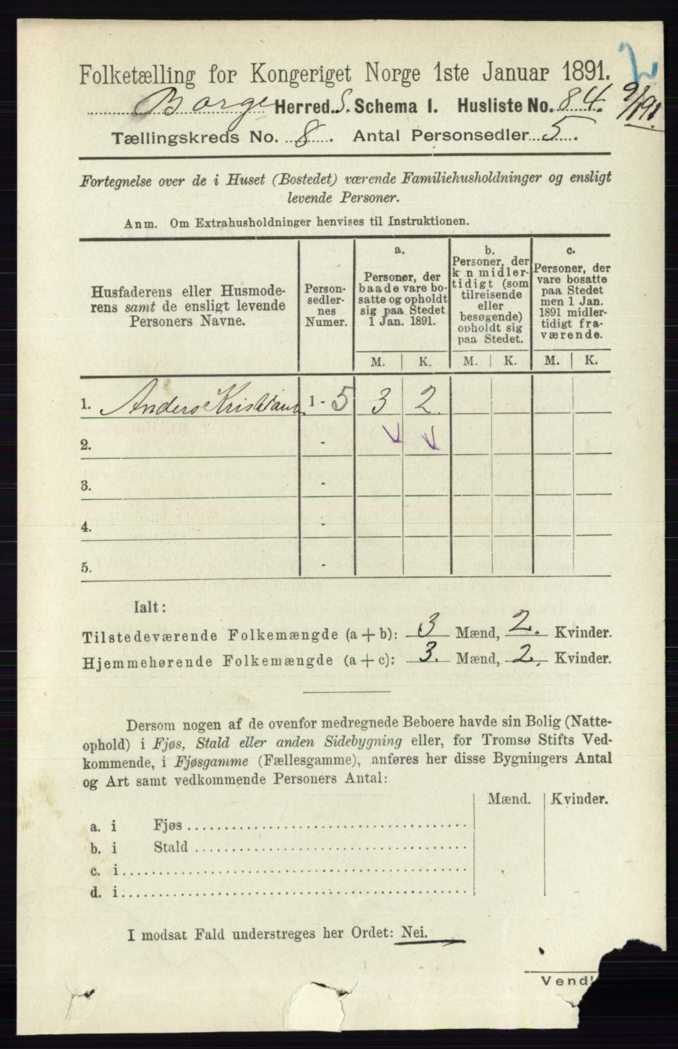 RA, 1891 census for 0113 Borge, 1891, p. 5126