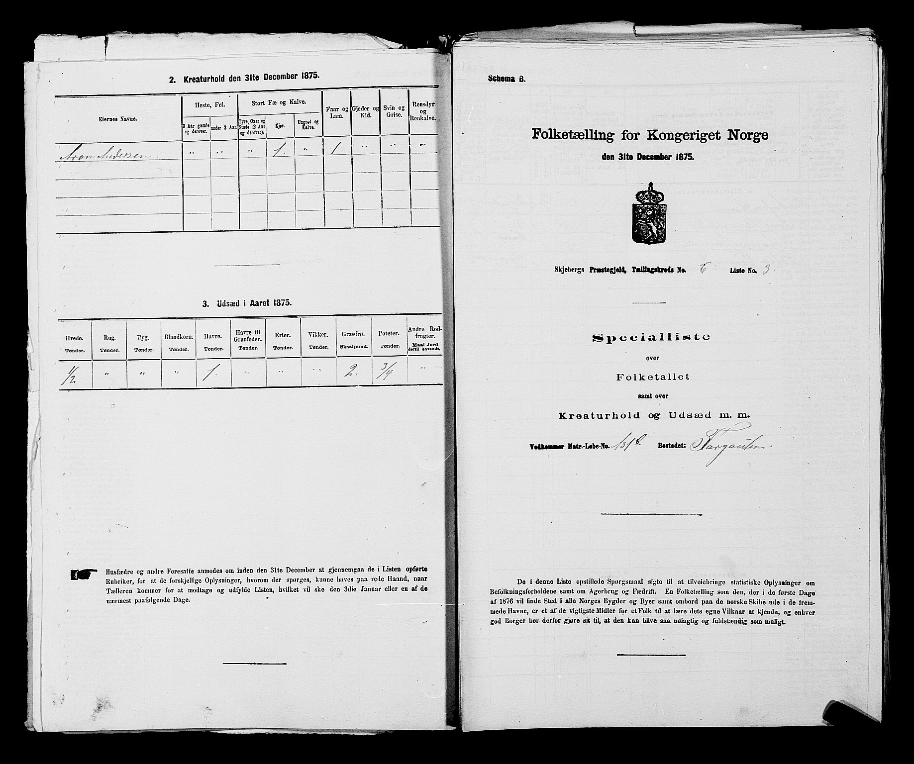 RA, 1875 census for 0115P Skjeberg, 1875, p. 1016