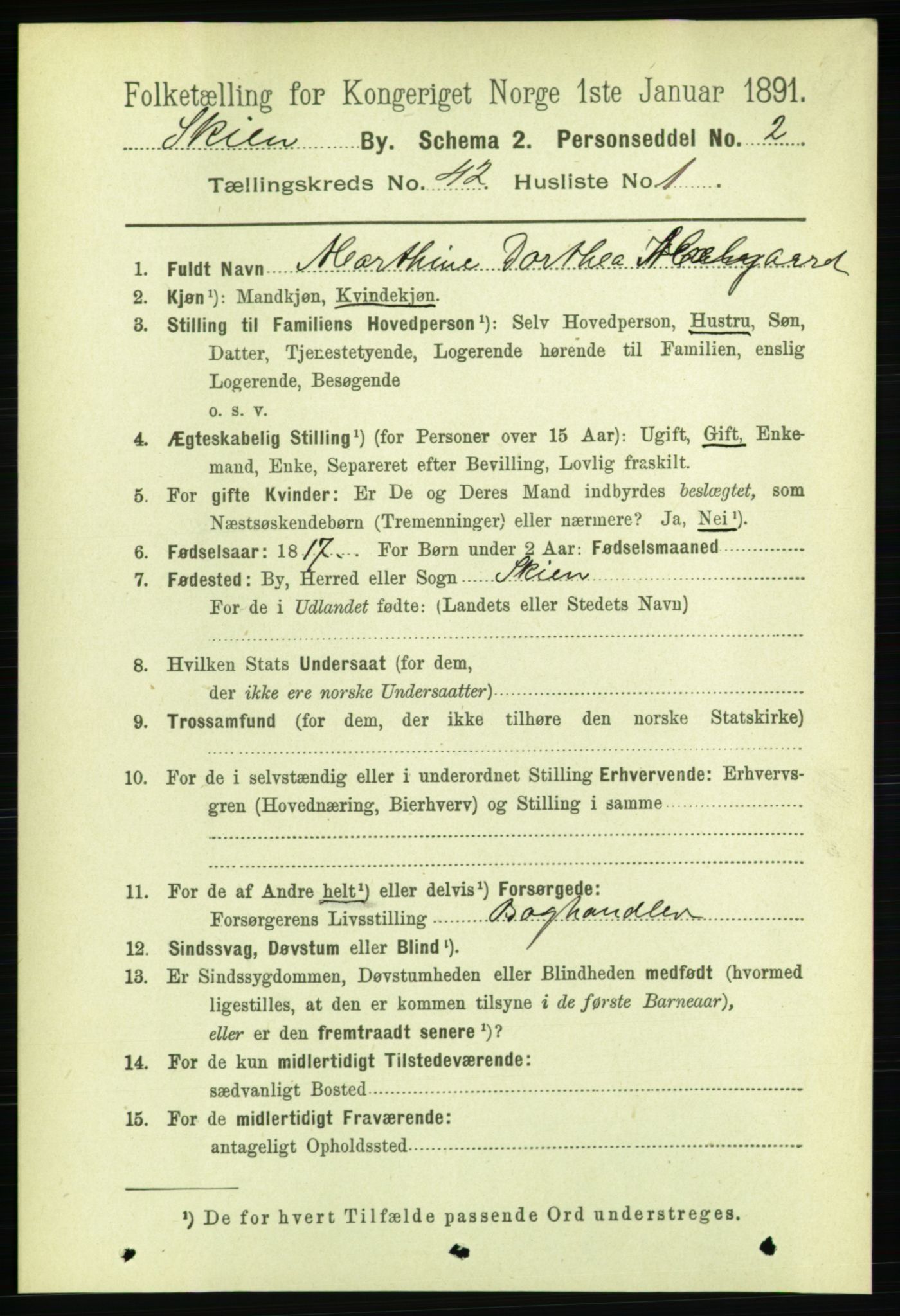 RA, 1891 census for 0806 Skien, 1891, p. 8504