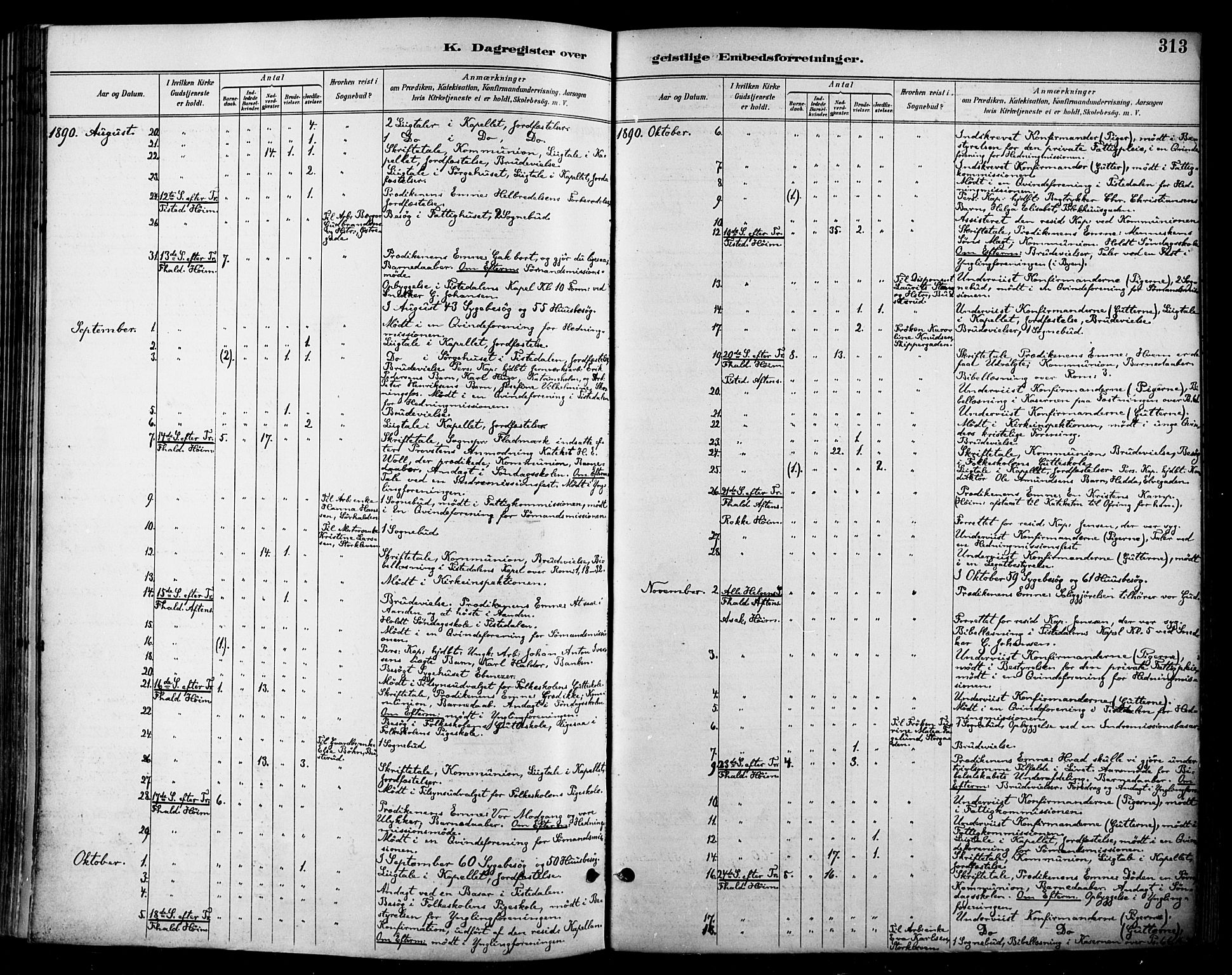 Halden prestekontor Kirkebøker, AV/SAO-A-10909/F/Fa/L0014: Parish register (official) no. I 14, 1890-1906, p. 313