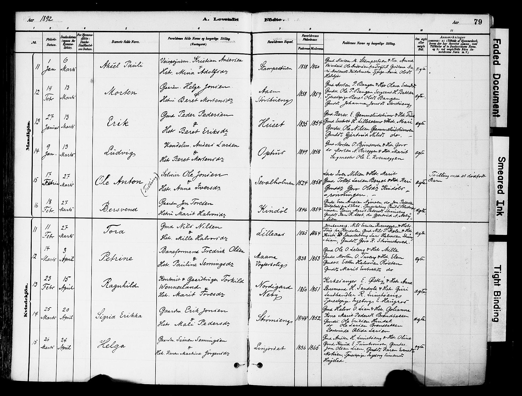 Tynset prestekontor, SAH/PREST-058/H/Ha/Haa/L0022: Parish register (official) no. 22, 1880-1899, p. 79