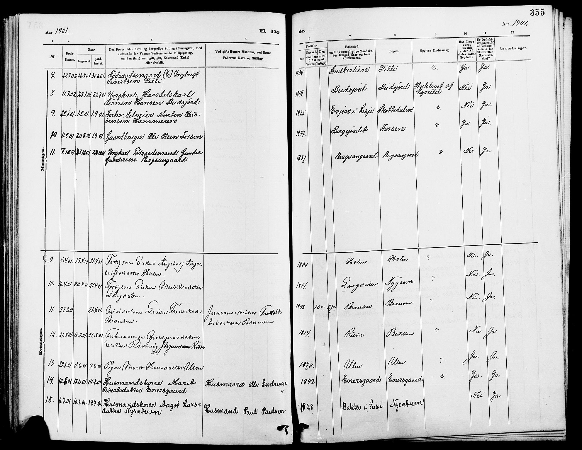 Dovre prestekontor, AV/SAH-PREST-066/H/Ha/Hab/L0002: Parish register (copy) no. 2, 1881-1907, p. 355