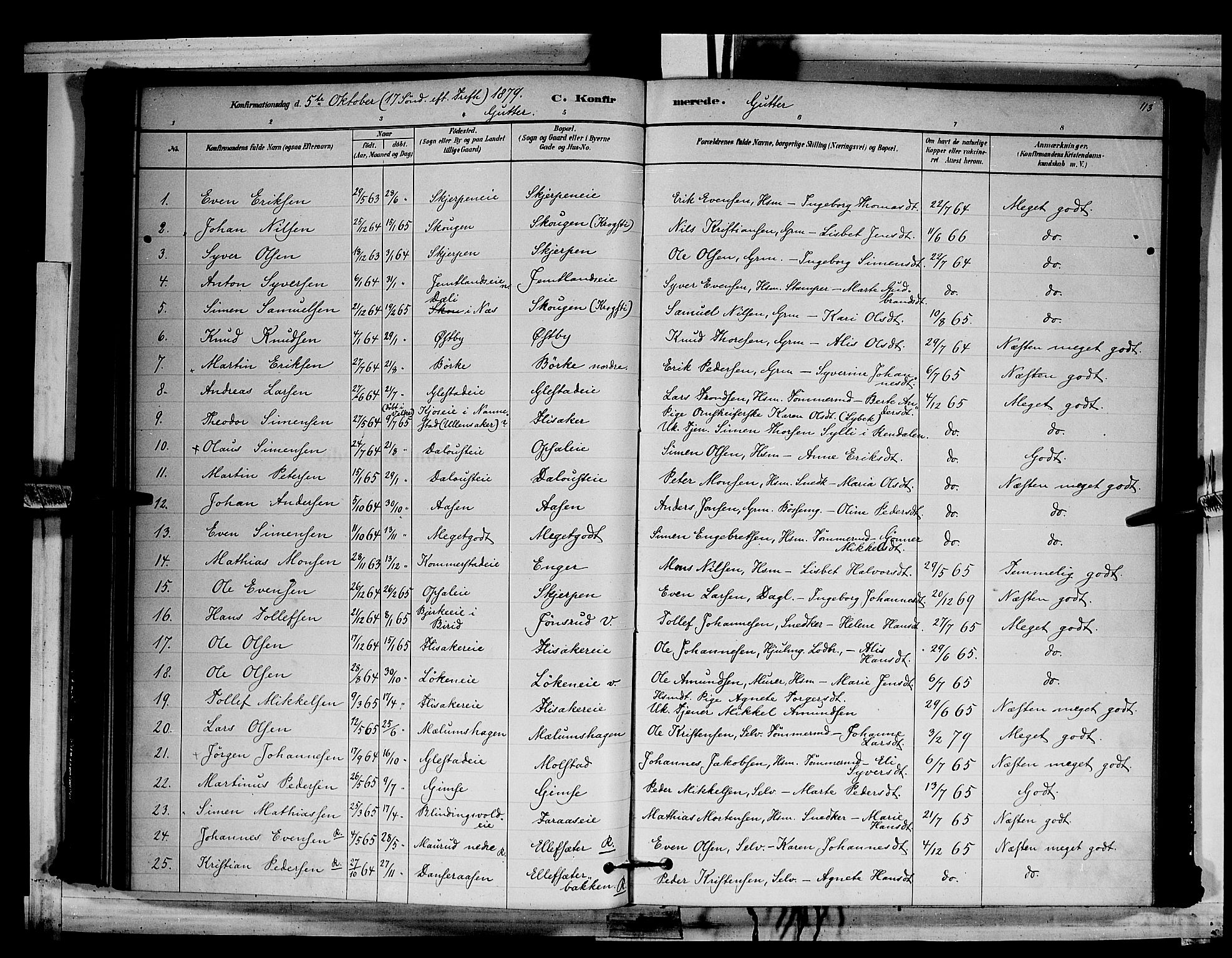Ringsaker prestekontor, SAH/PREST-014/L/La/L0011: Parish register (copy) no. 11, 1879-1890, p. 113