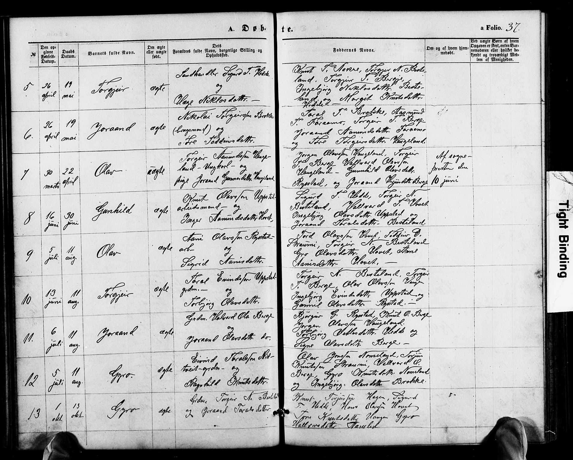 Valle sokneprestkontor, SAK/1111-0044/F/Fb/Fbb/L0002: Parish register (copy) no. B 2, 1875-1921, p. 37