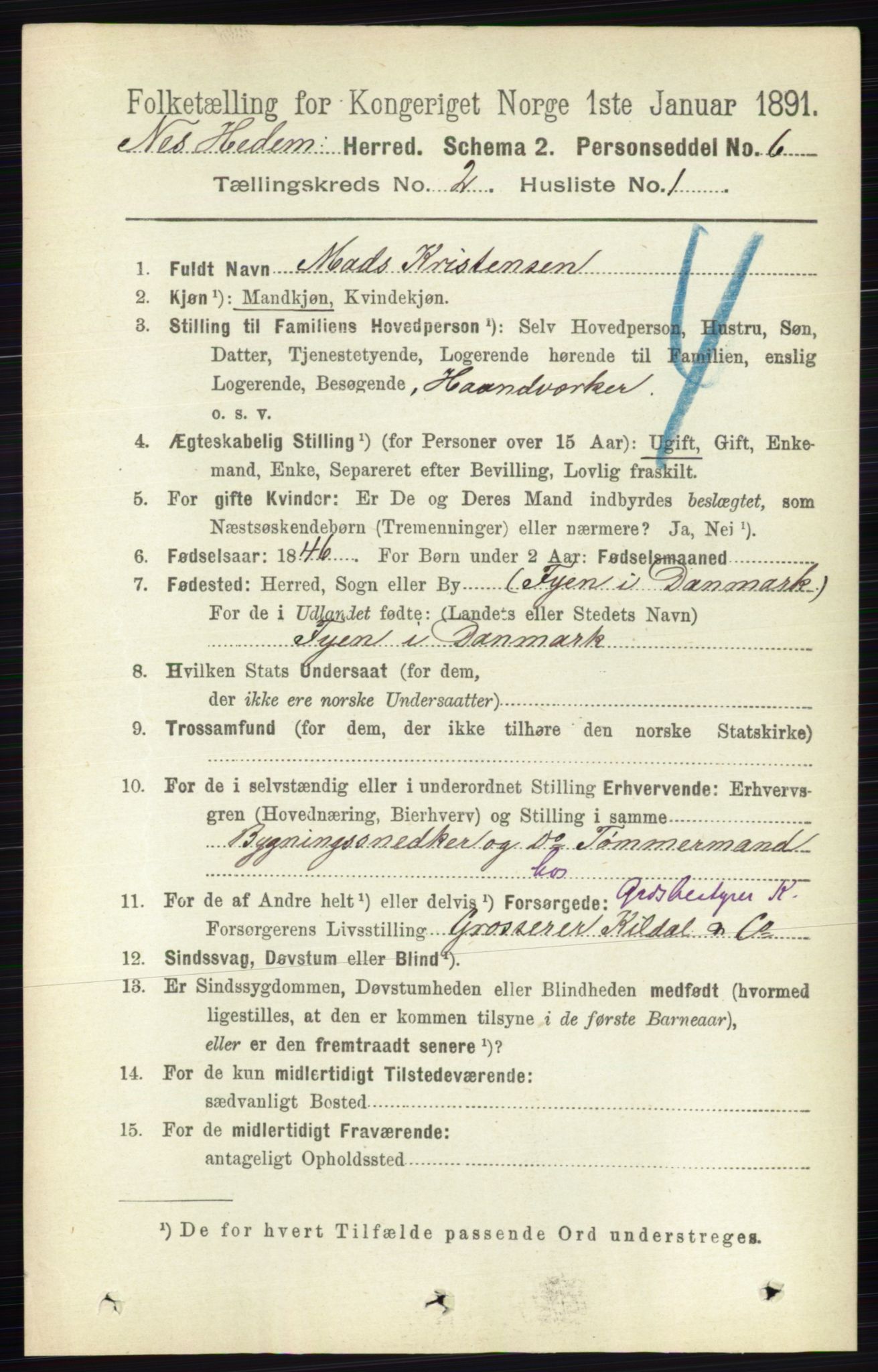 RA, 1891 census for 0411 Nes, 1891, p. 1077