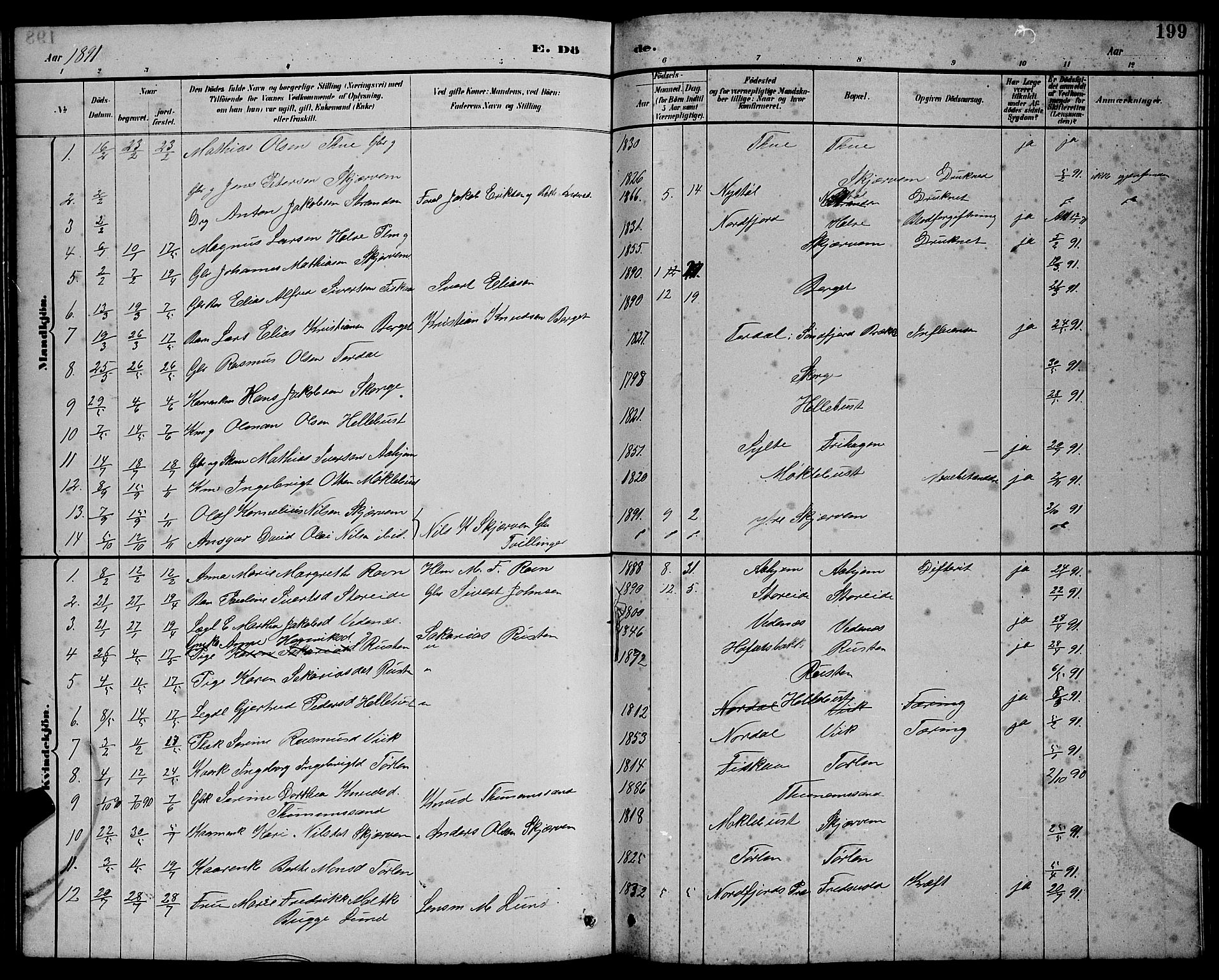 Ministerialprotokoller, klokkerbøker og fødselsregistre - Møre og Romsdal, AV/SAT-A-1454/501/L0017: Parish register (copy) no. 501C03, 1885-1901, p. 199