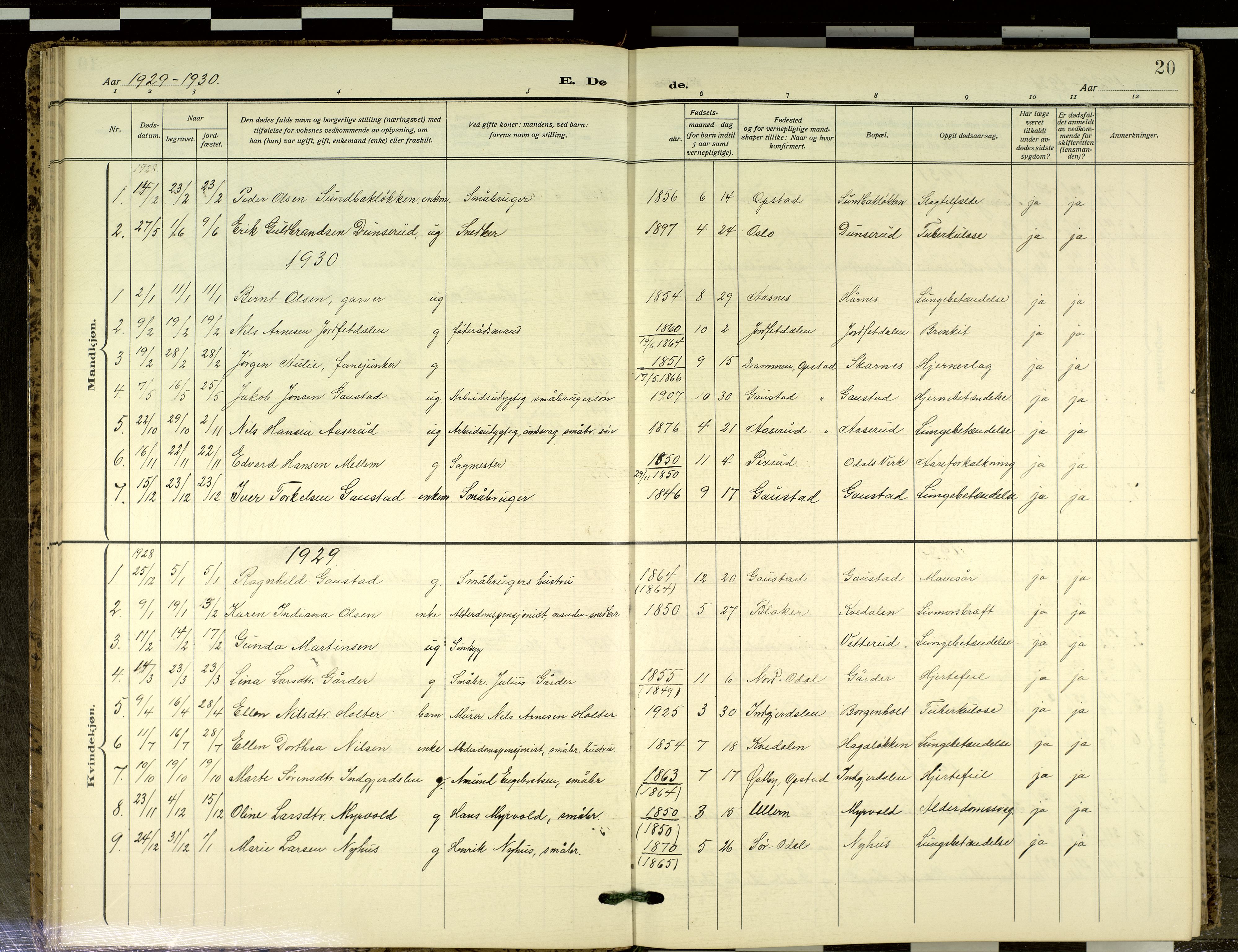 Sør-Odal prestekontor, SAH/PREST-030/H/Ha/Haa/L0021: Parish register (official) no. 21, 1909-2012, p. 20