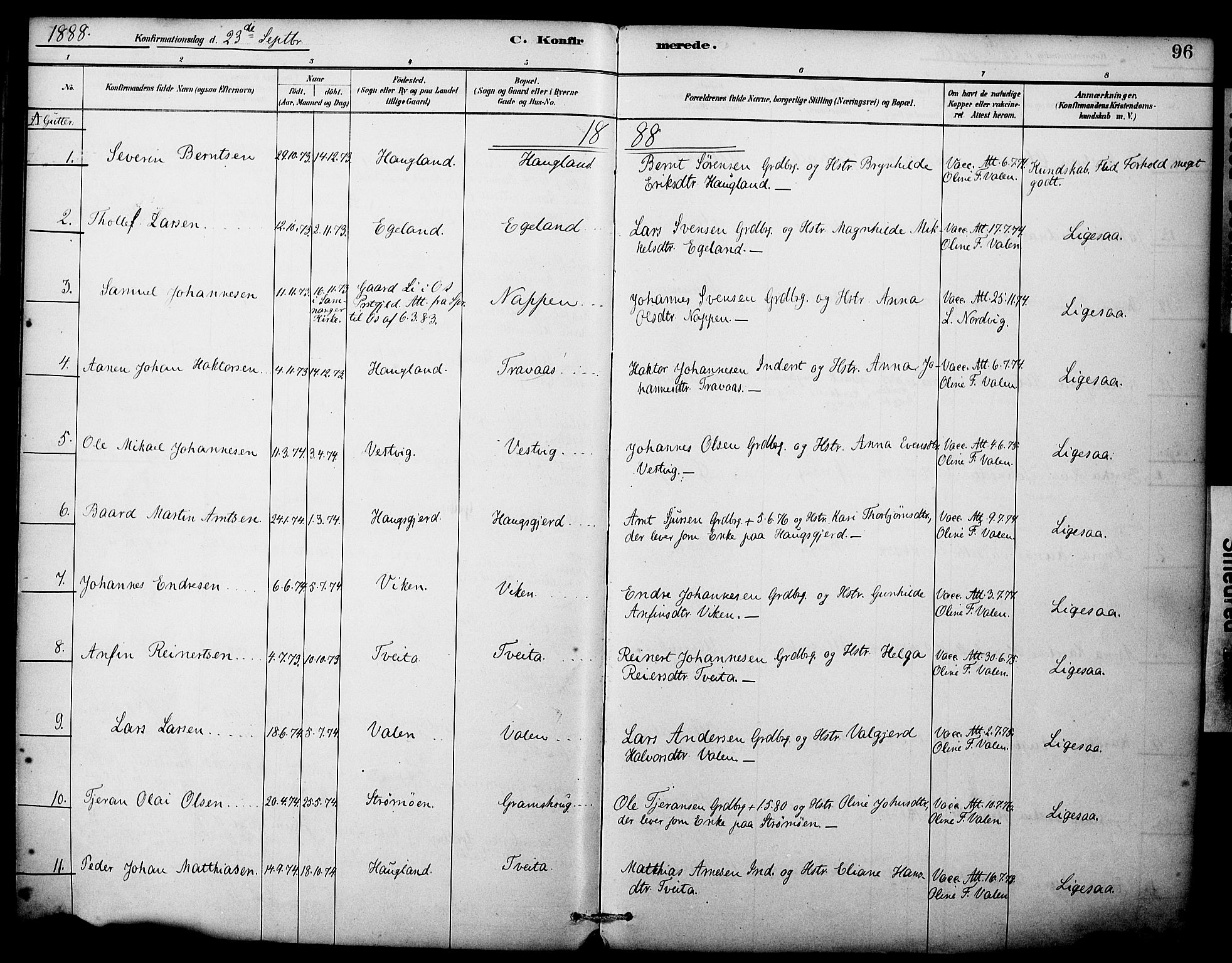 Sveio Sokneprestembete, AV/SAB-A-78501/H/Haa: Parish register (official) no. C 2, 1881-1899, p. 96