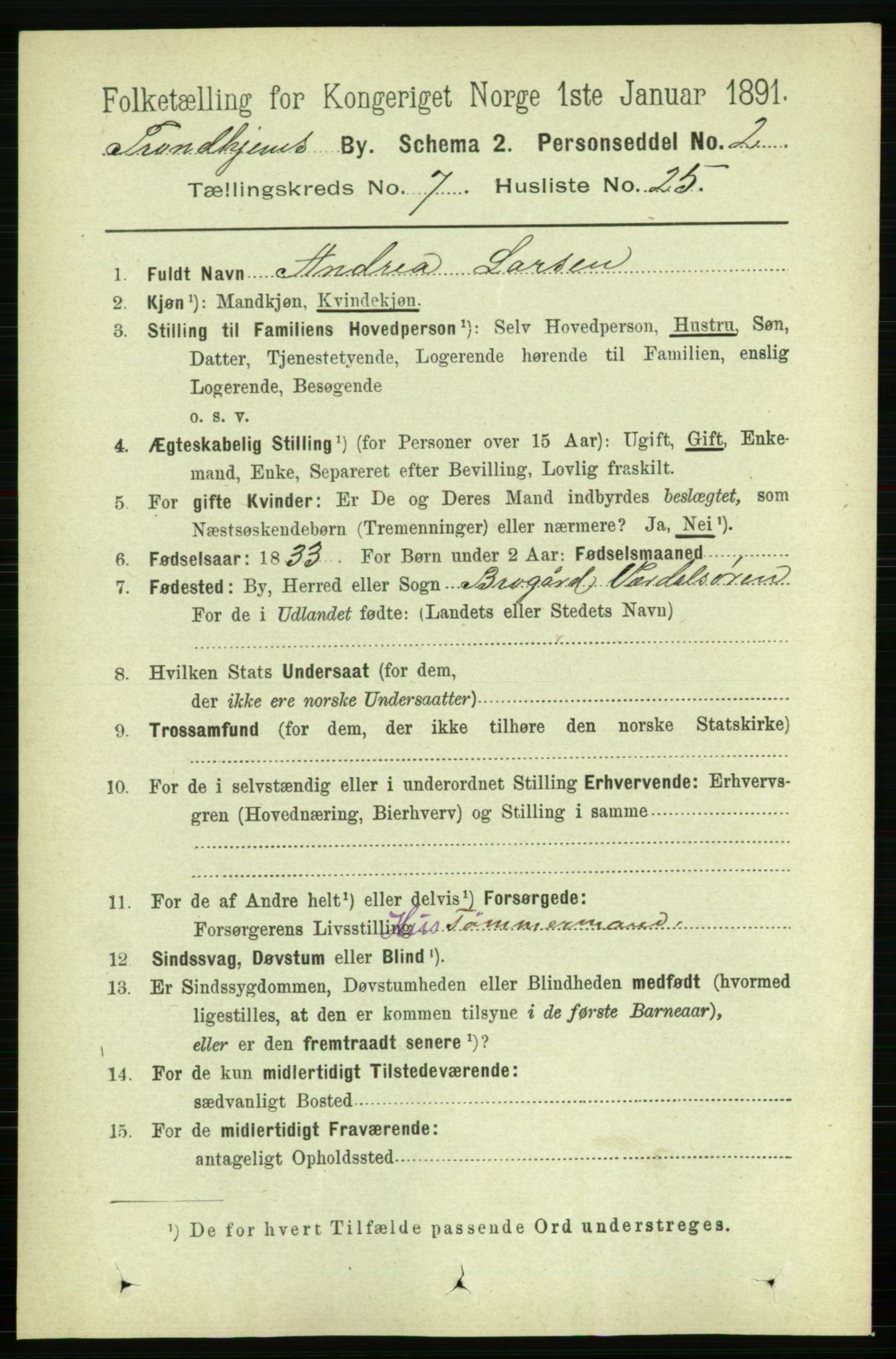 RA, 1891 census for 1601 Trondheim, 1891, p. 6248