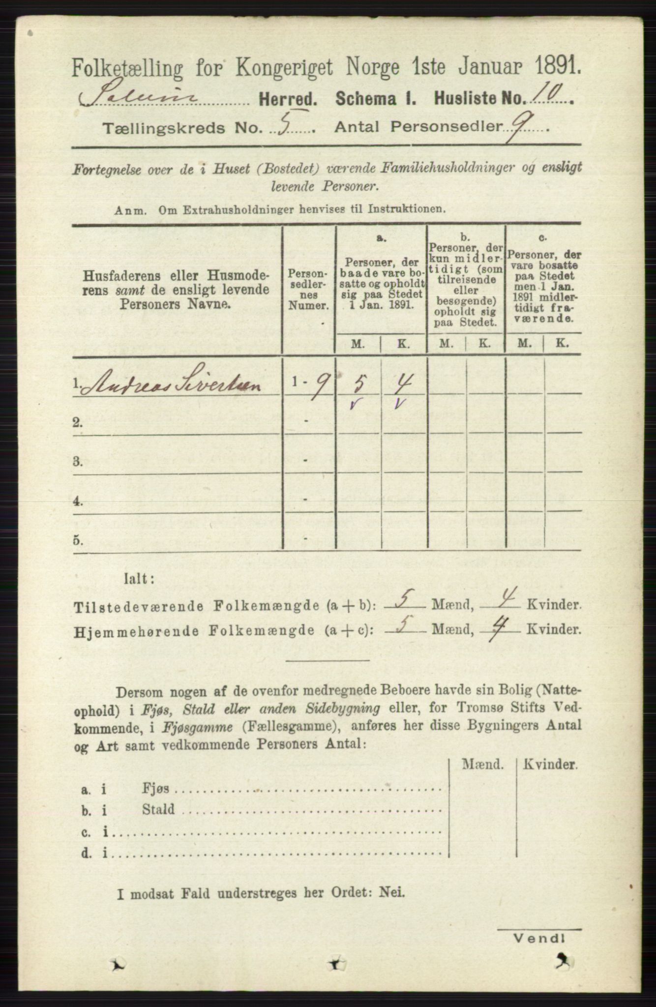 RA, 1891 census for 0818 Solum, 1891, p. 807