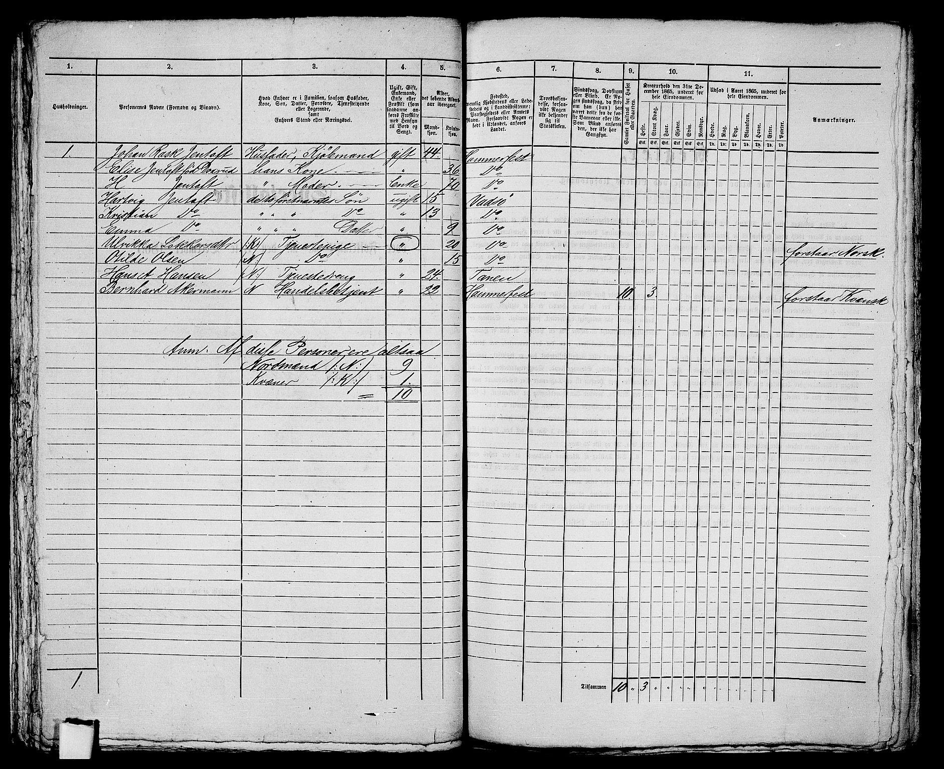 RA, 1865 census for Vadsø/Vadsø, 1865, p. 84