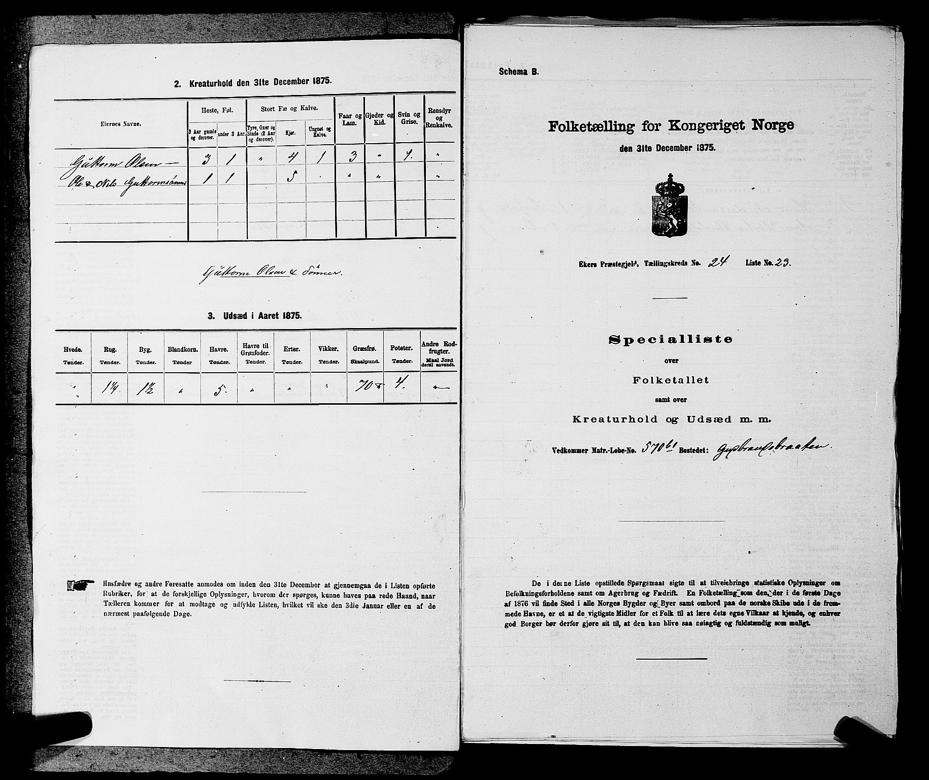 SAKO, 1875 census for 0624P Eiker, 1875, p. 4113