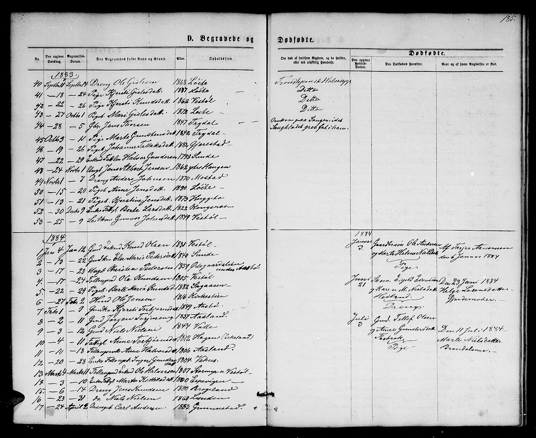 Gjerstad sokneprestkontor, AV/SAK-1111-0014/F/Fb/Fba/L0006: Parish register (copy) no. B 6, 1868-1890, p. 185