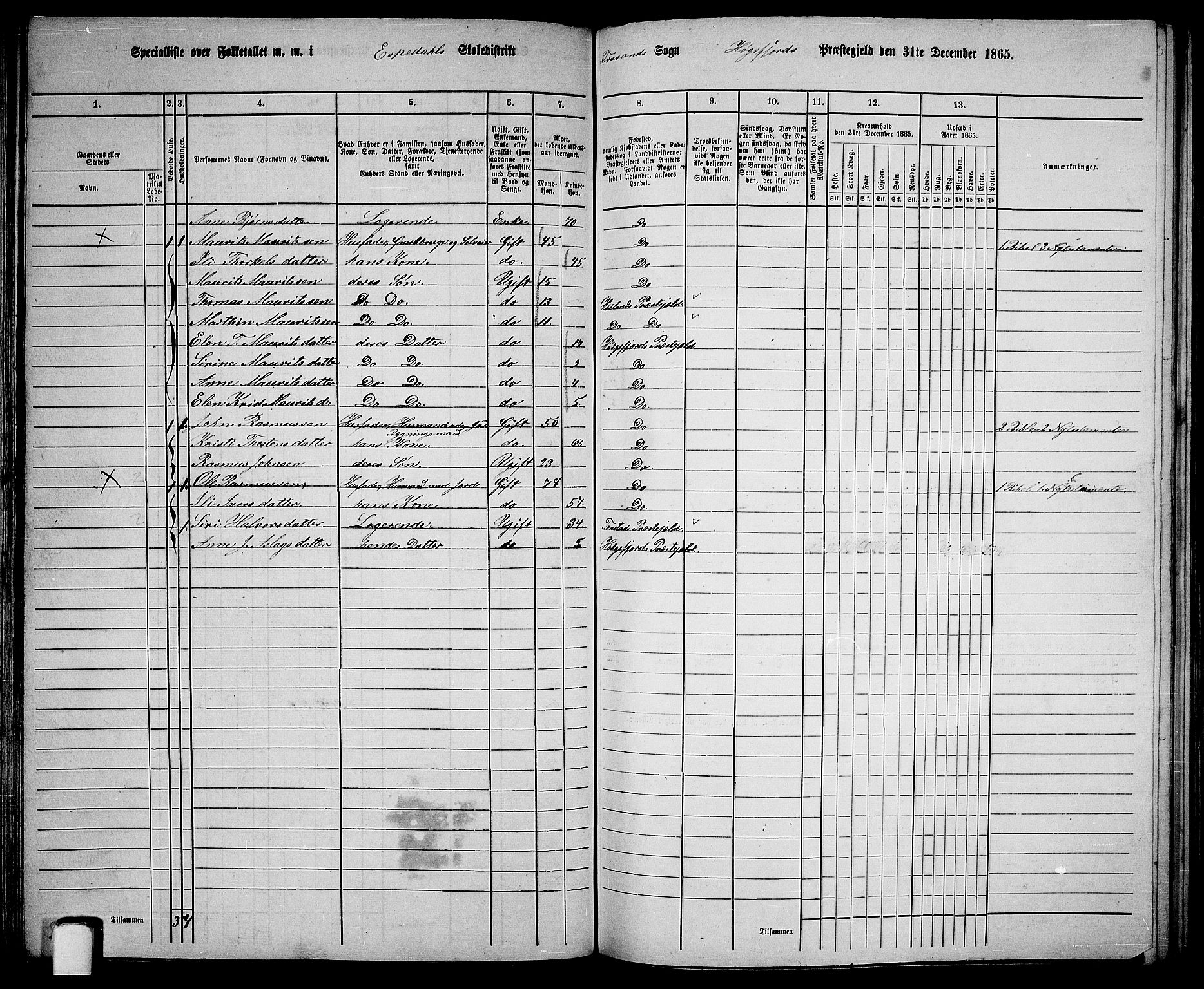 RA, 1865 census for Høgsfjord, 1865, p. 58