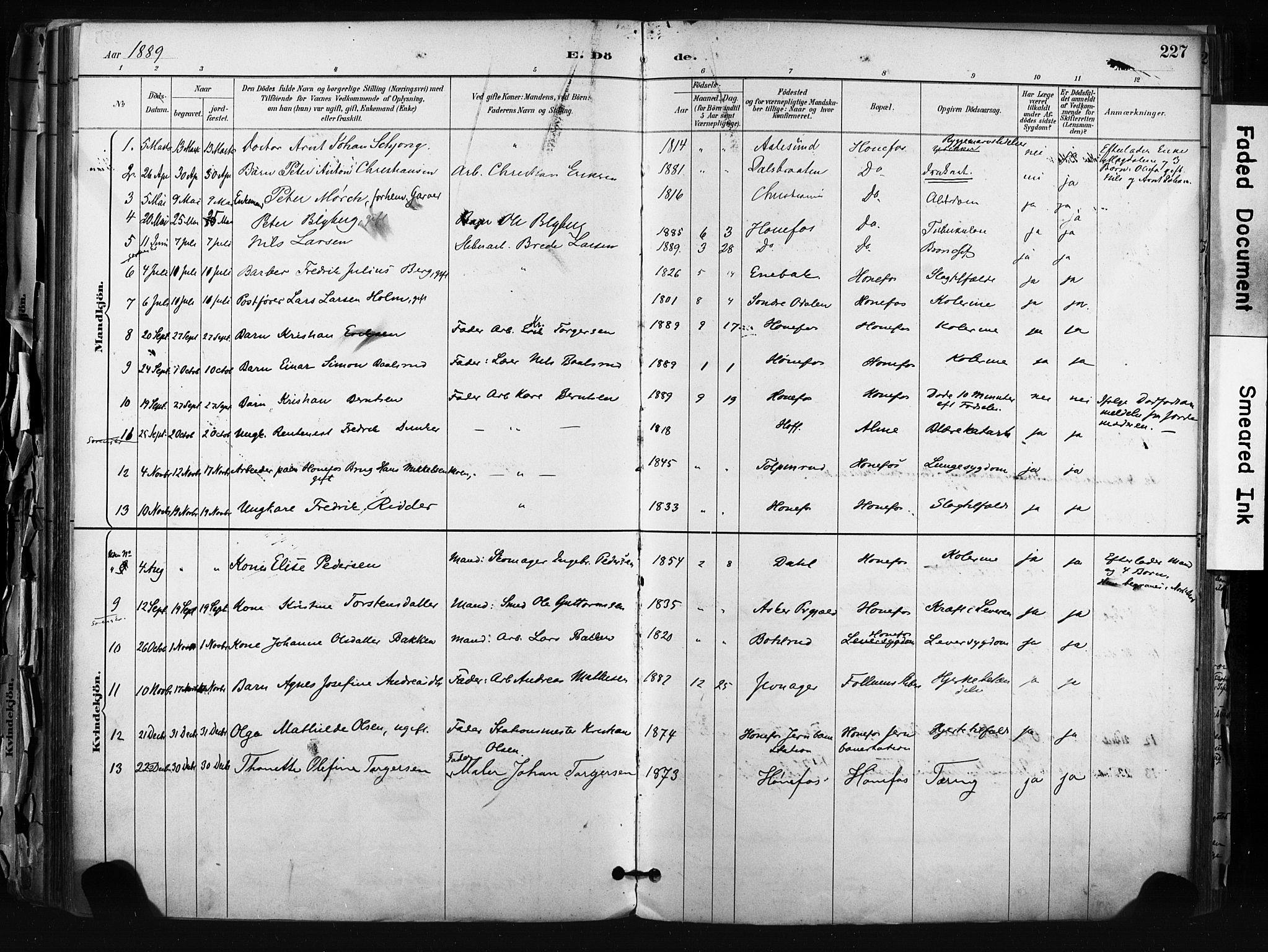 Hønefoss kirkebøker, AV/SAKO-A-609/F/Fa/L0002: Parish register (official) no. 2, 1887-1906, p. 227