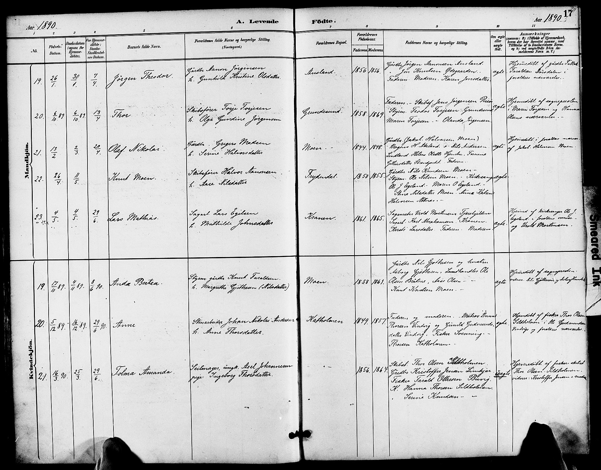 Søndeled sokneprestkontor, AV/SAK-1111-0038/F/Fa/L0005: Parish register (official) no. A 5, 1889-1899, p. 17