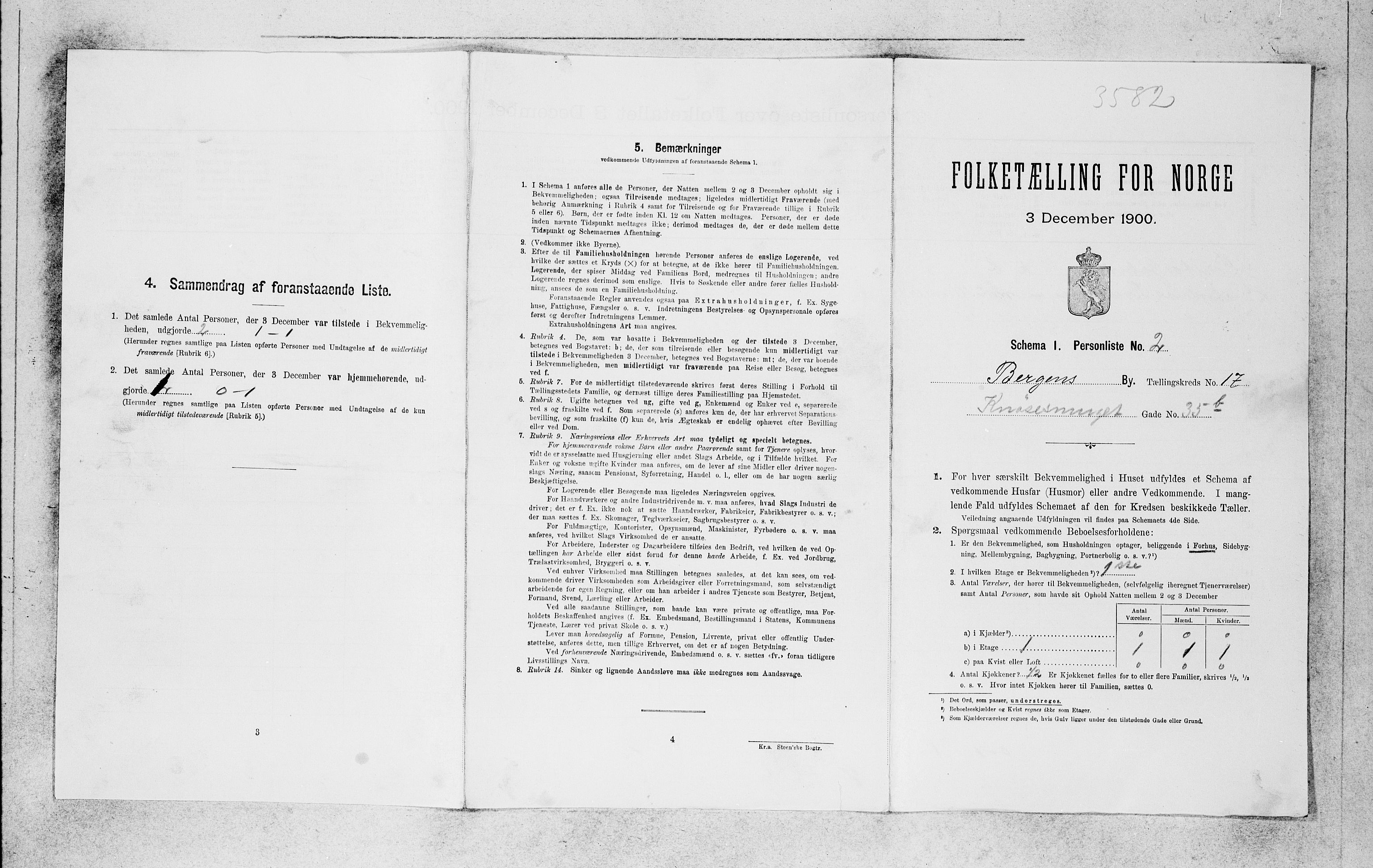 SAB, 1900 census for Bergen, 1900, p. 3382