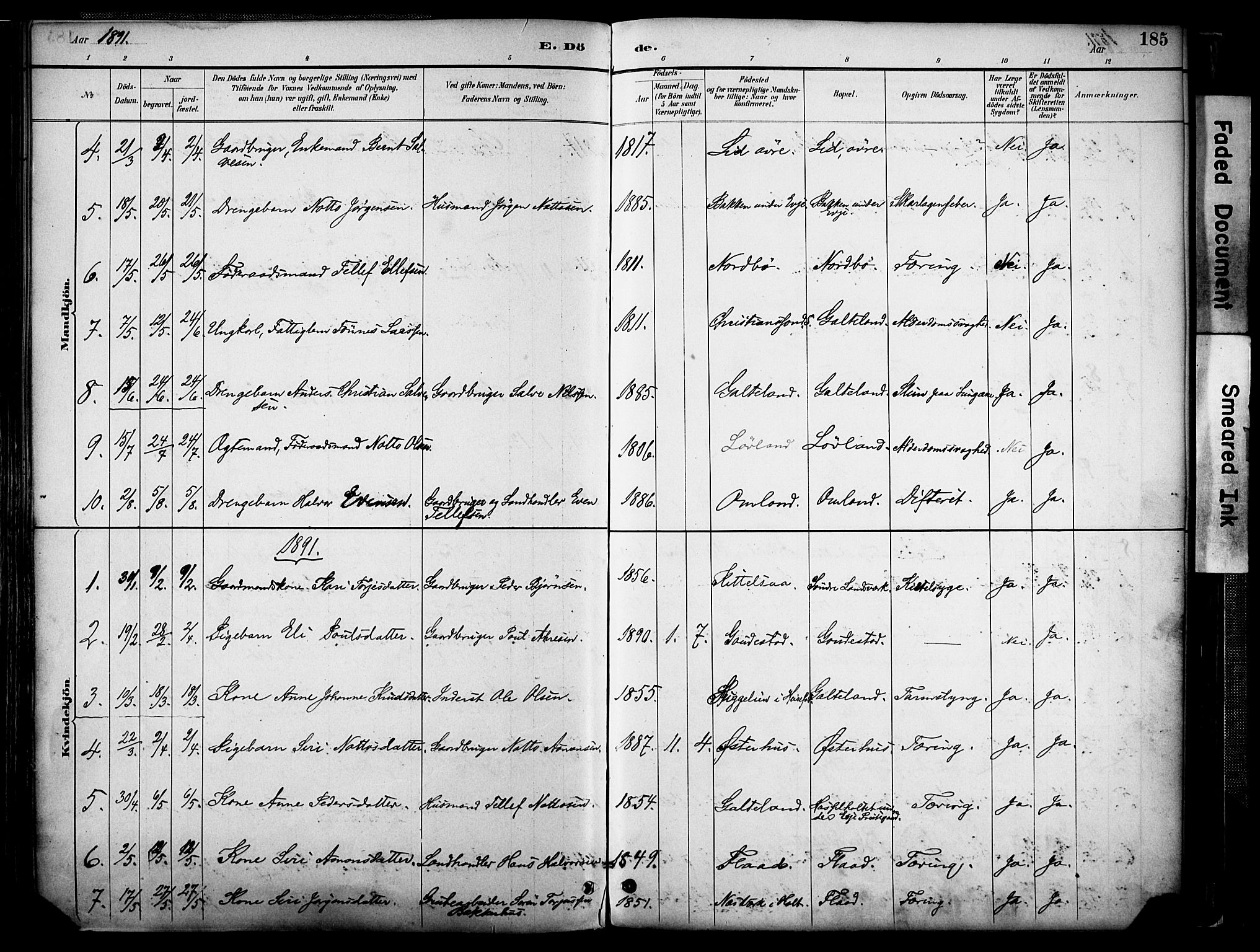 Evje sokneprestkontor, AV/SAK-1111-0008/F/Fa/Faa/L0007: Parish register (official) no. A 7, 1884-1909, p. 185