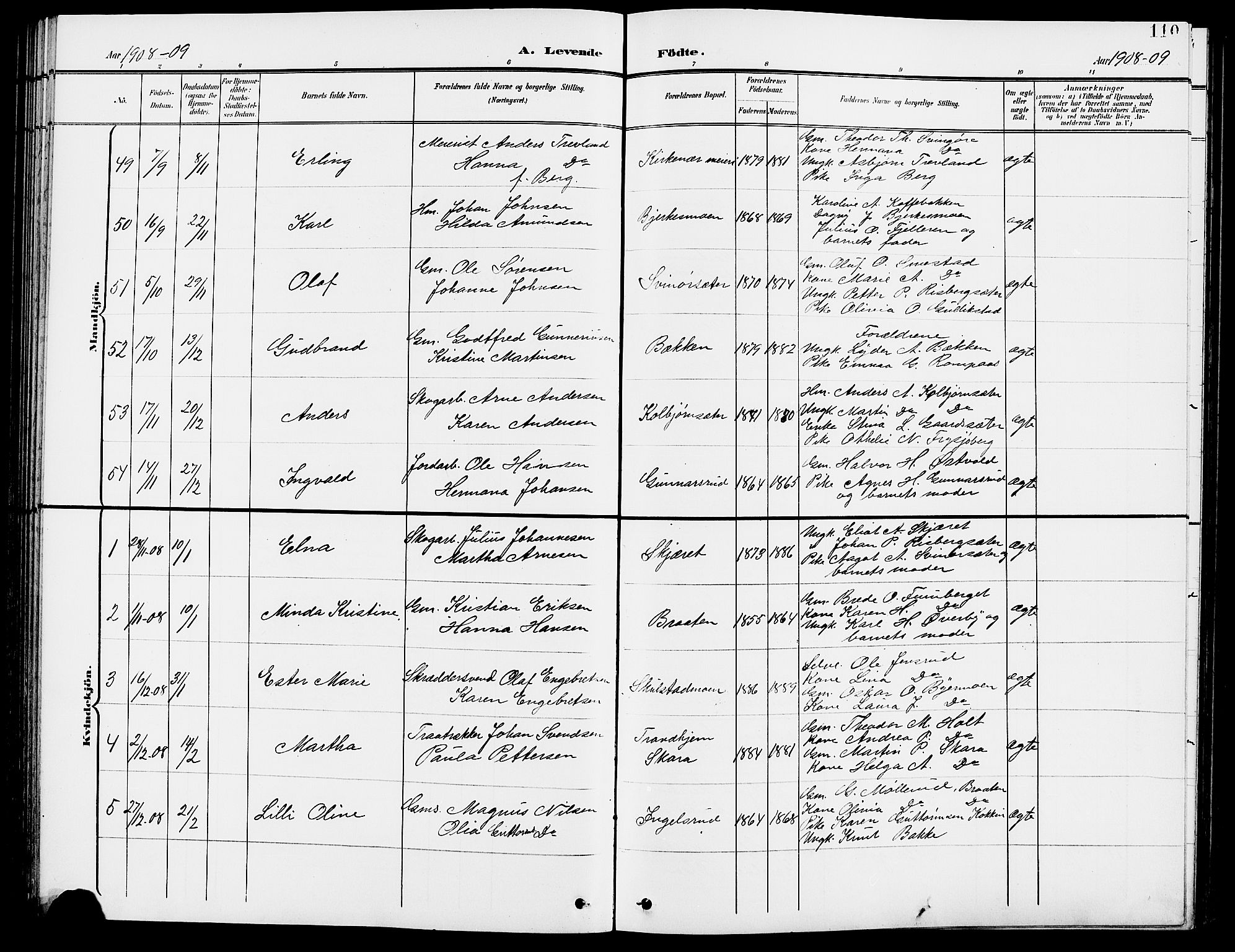 Grue prestekontor, SAH/PREST-036/H/Ha/Hab/L0005: Parish register (copy) no. 5, 1900-1909, p. 110